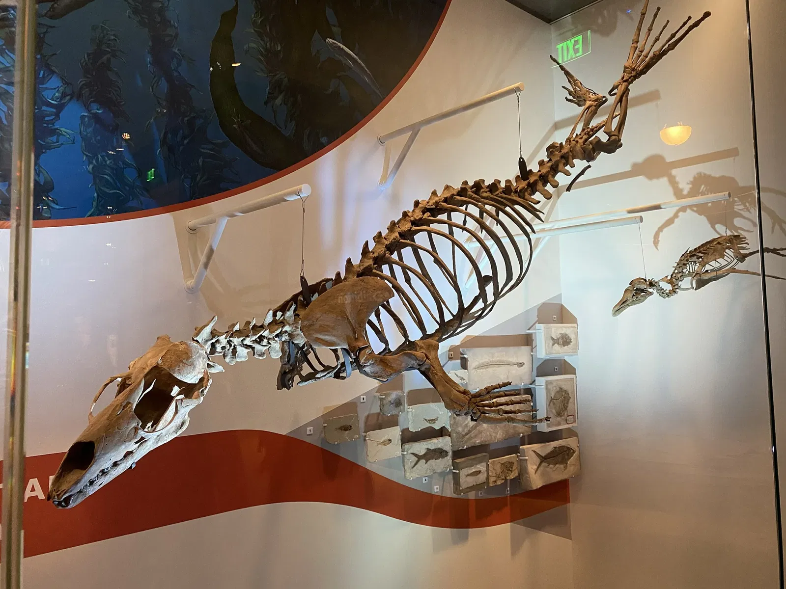 National Museum of Natural History