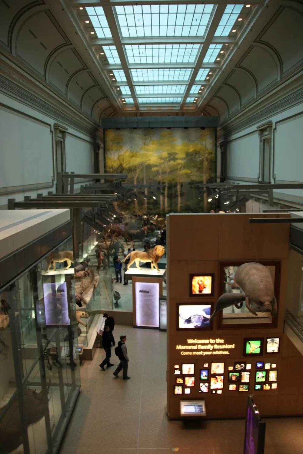Museo Nacional de Historia Natural de los Estados Unidos