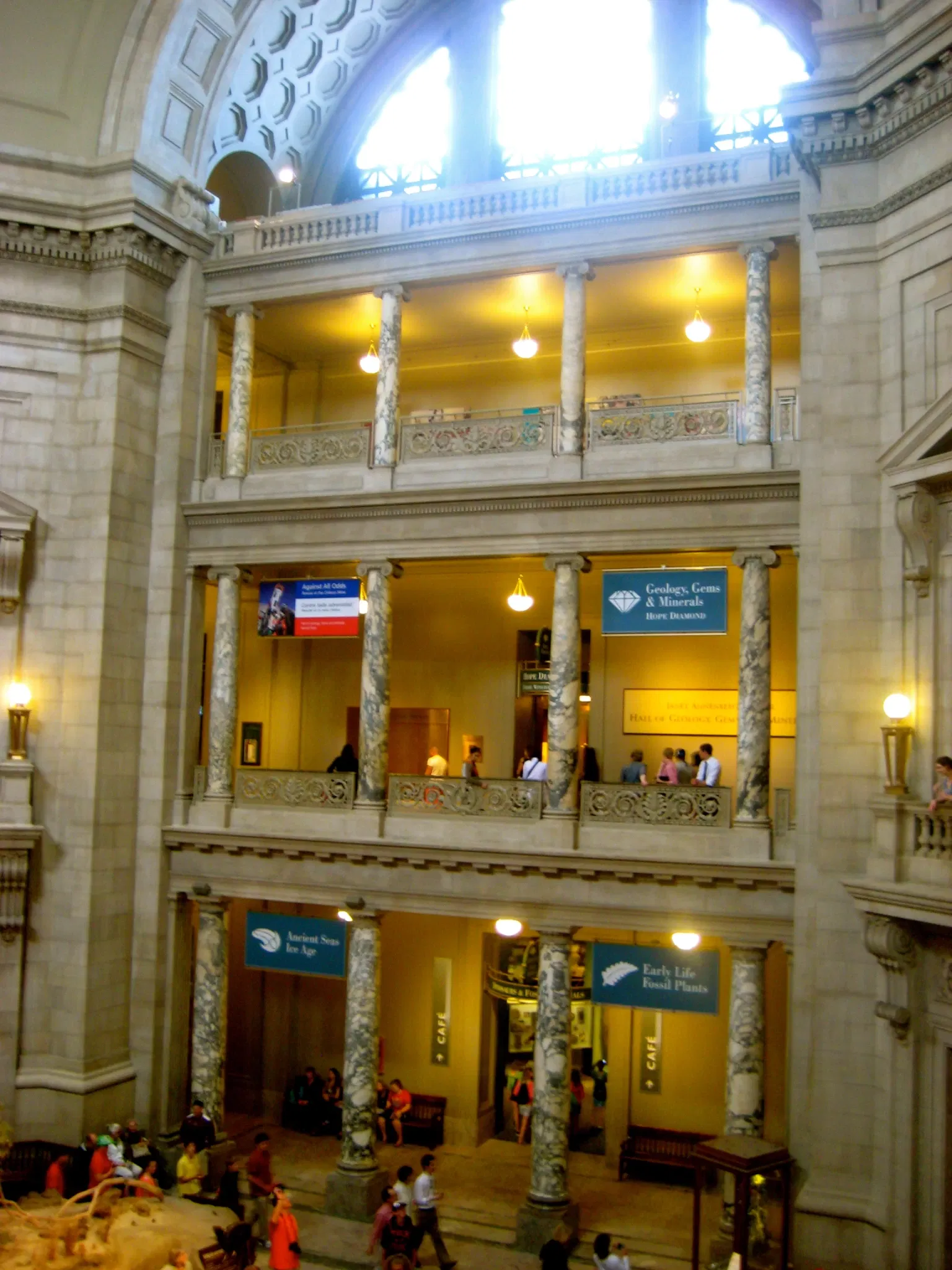 Museo Nacional de Historia Natural de los Estados Unidos