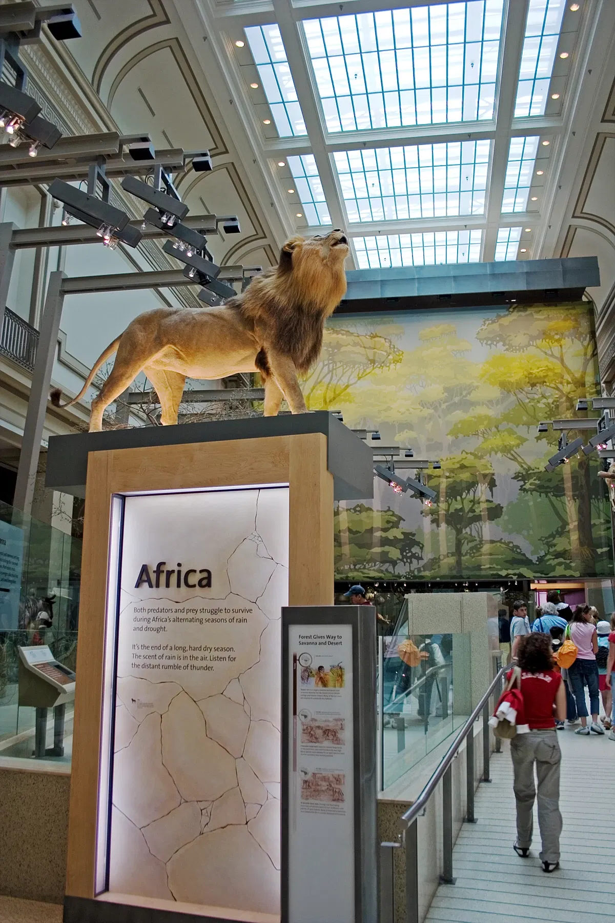 Musée national d'histoire naturelle des États-Unis