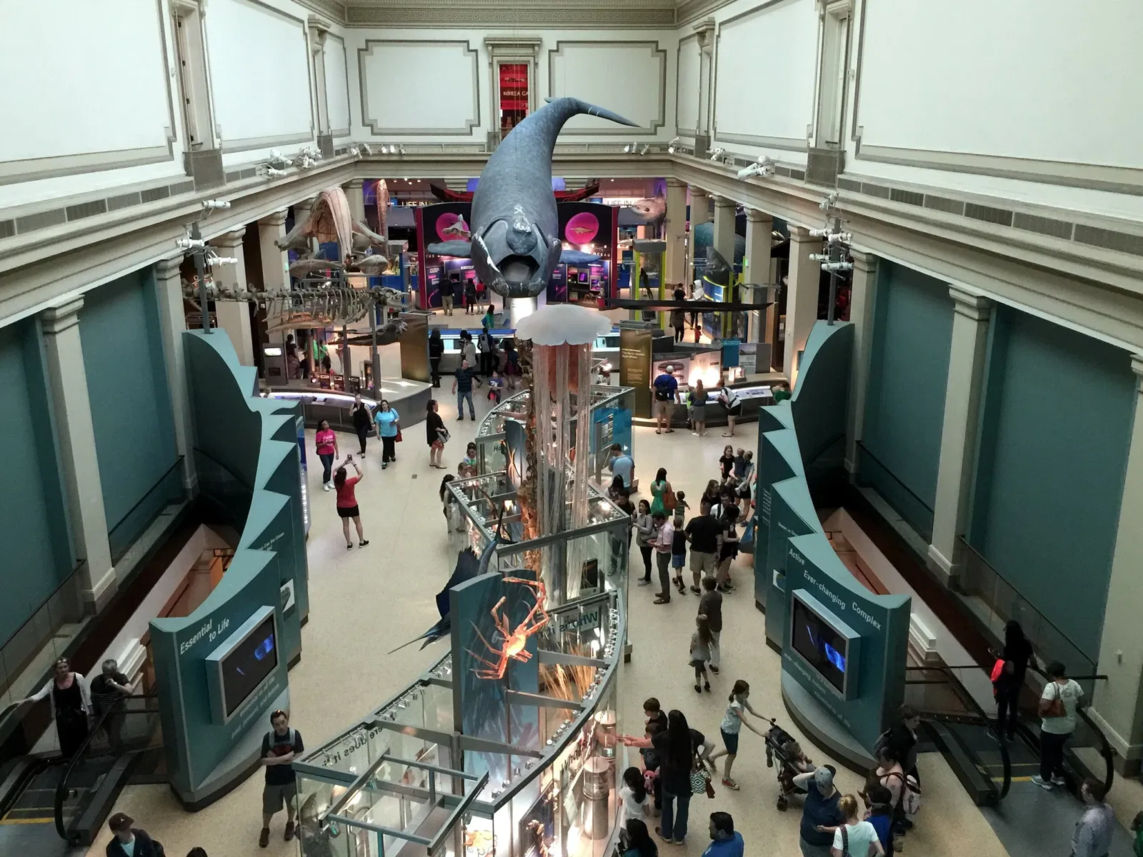 Musée national d'histoire naturelle des États-Unis