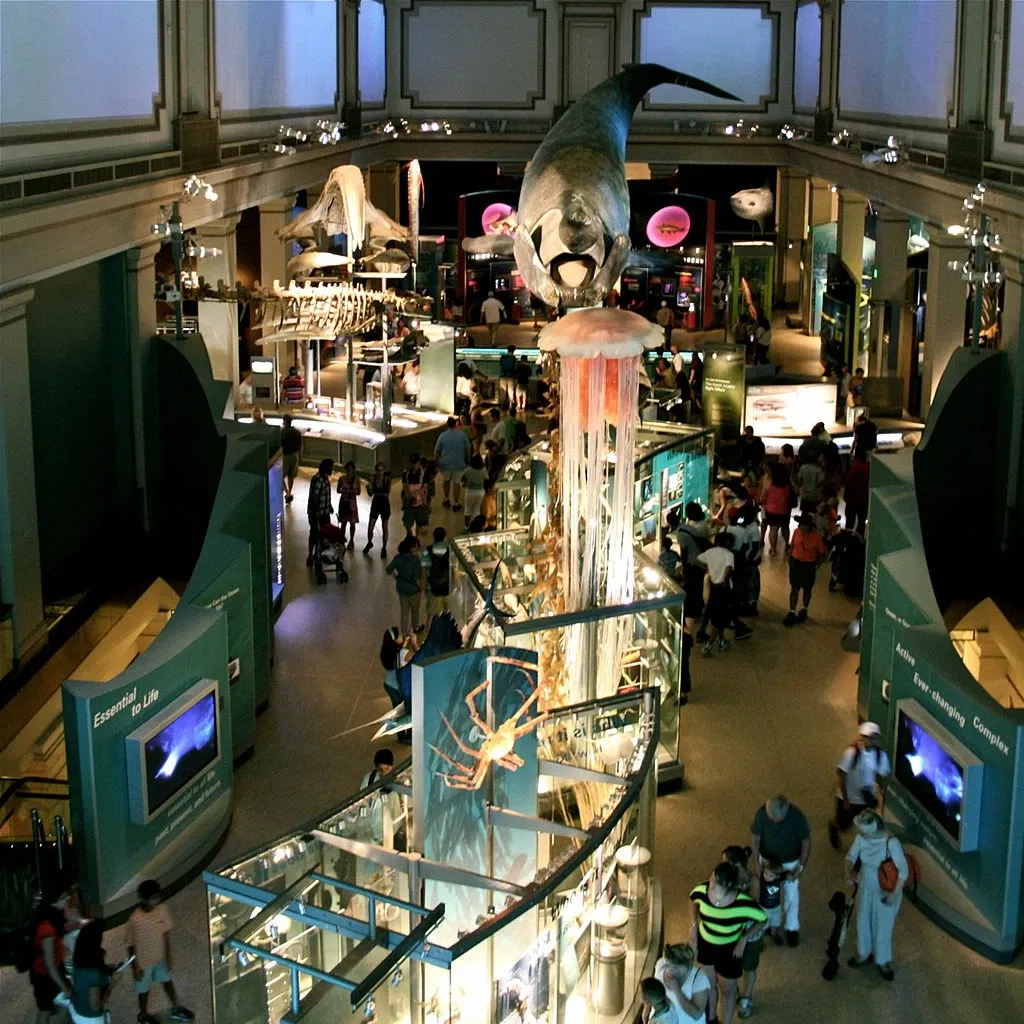 Museo Nacional de Historia Natural de los Estados Unidos