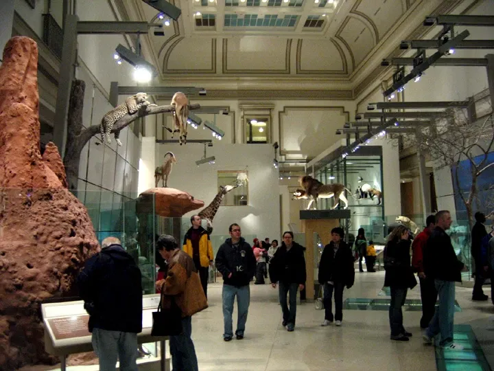 Musée national d'histoire naturelle des États-Unis