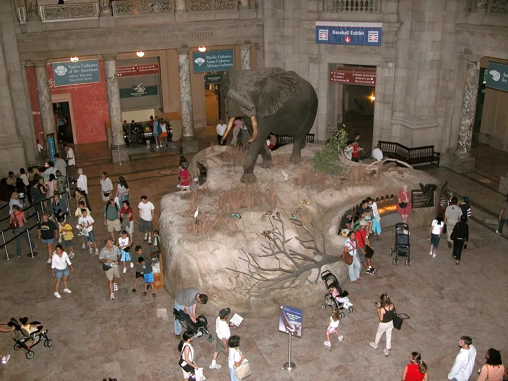 Musée national d'histoire naturelle des États-Unis
