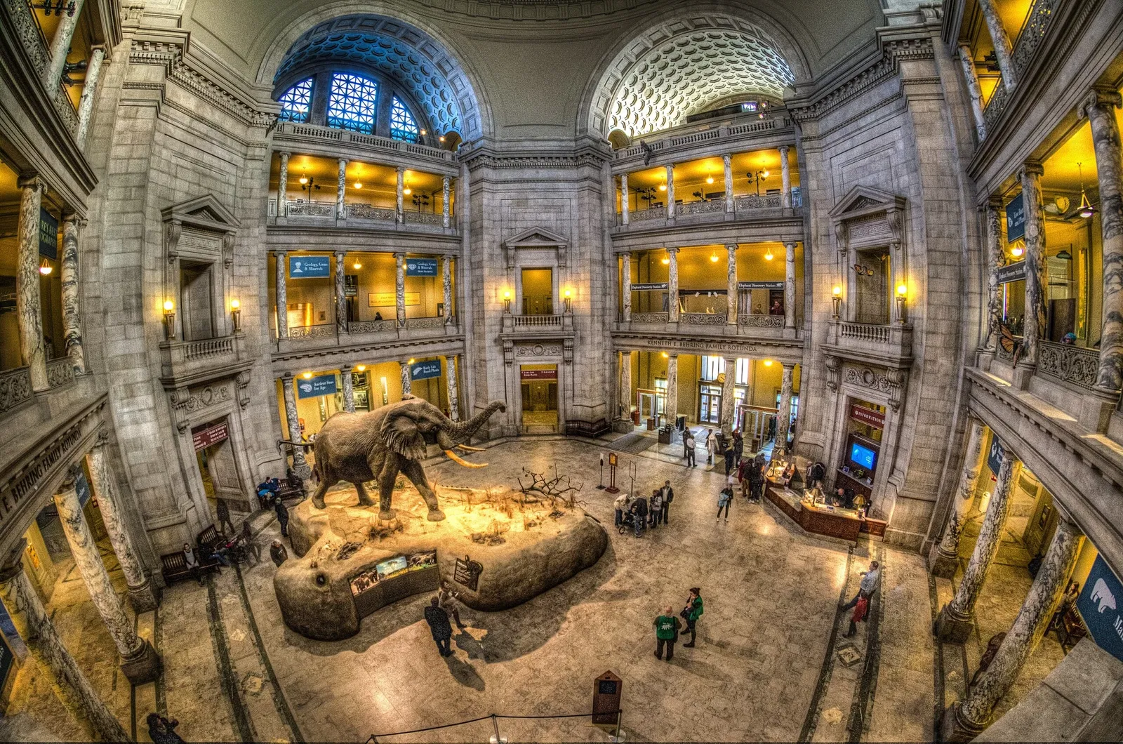 Museo Nacional de Historia Natural de los Estados Unidos