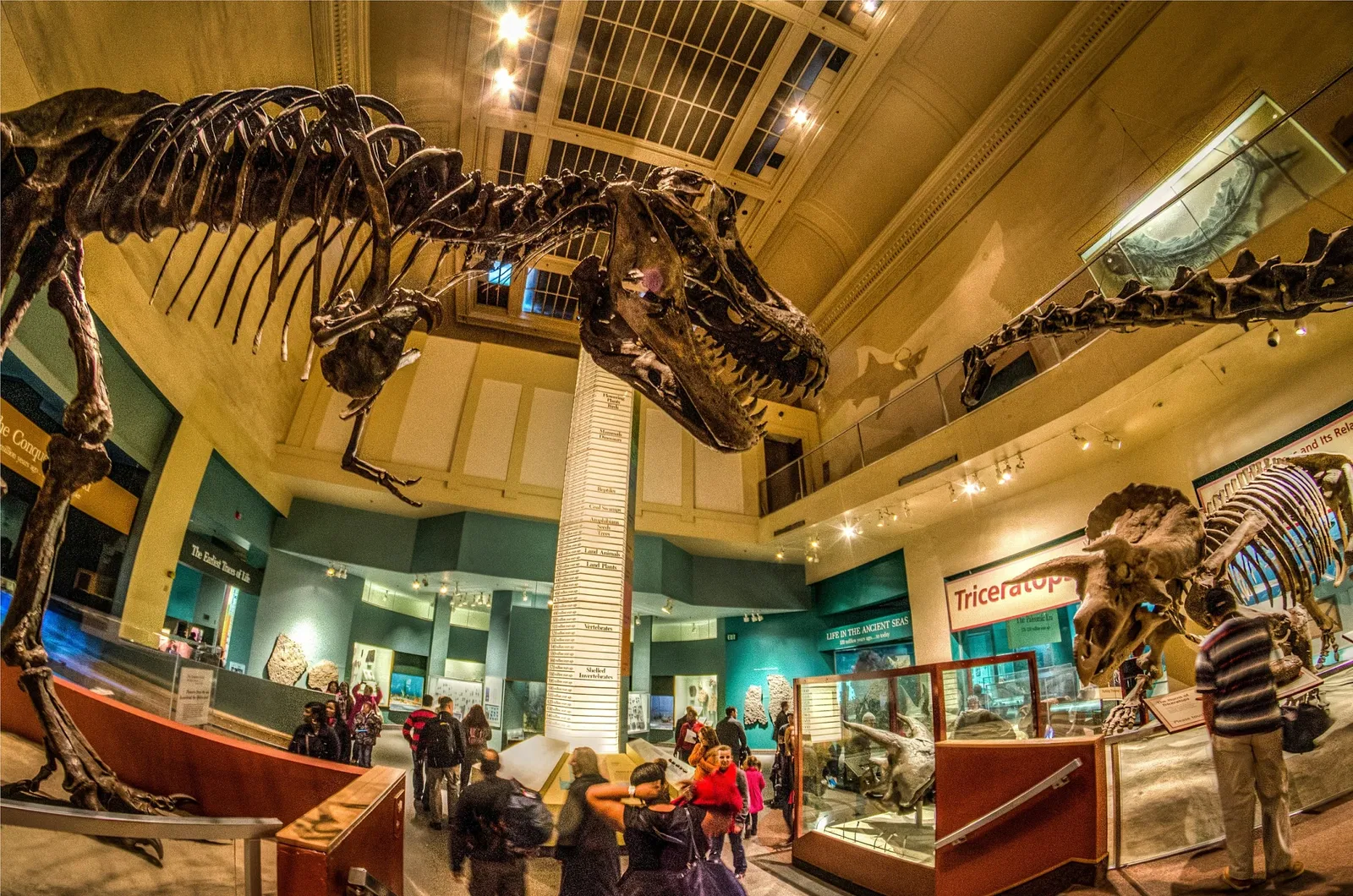 Musée national d'histoire naturelle des États-Unis