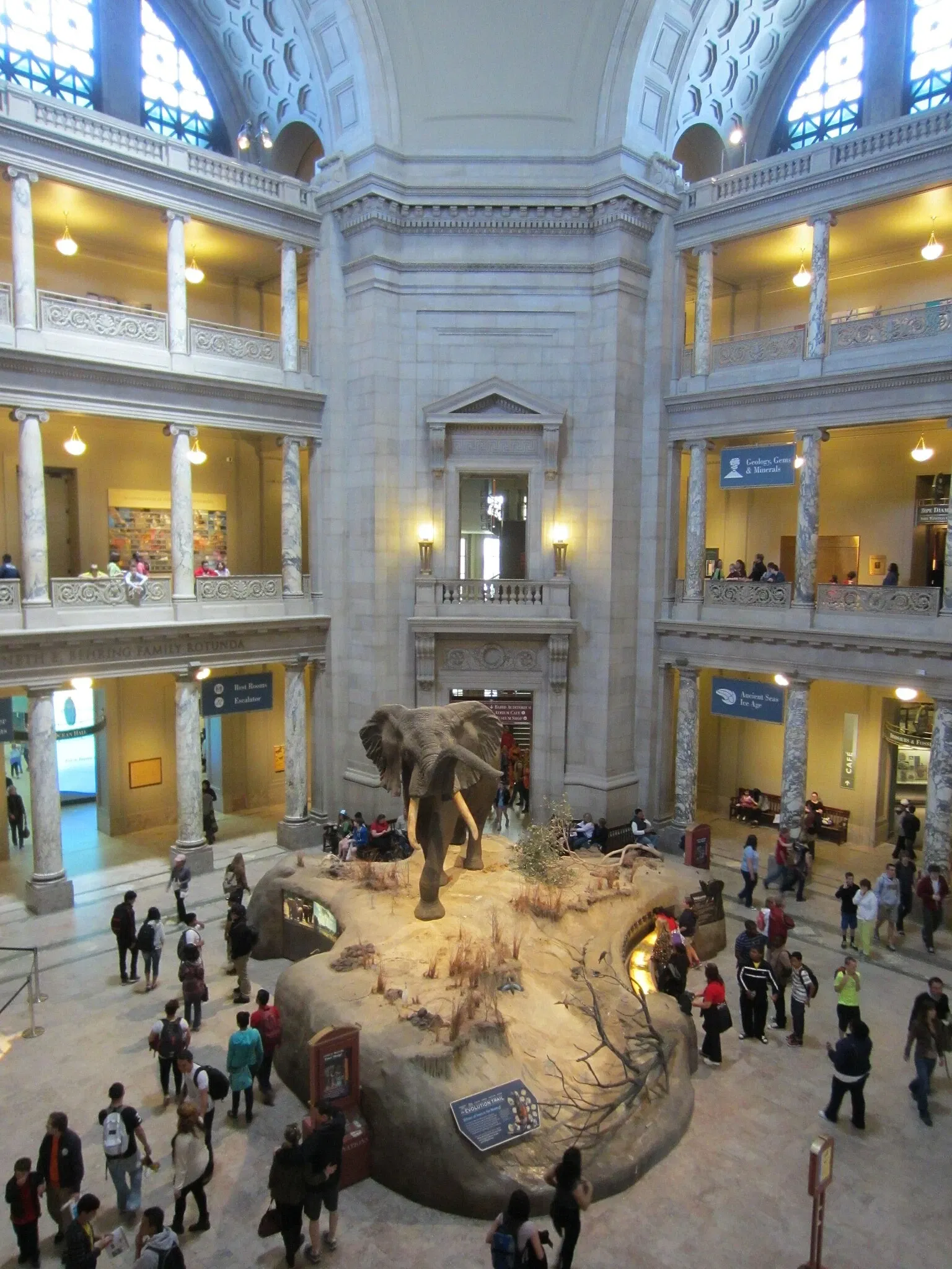 Musée national d'histoire naturelle des États-Unis