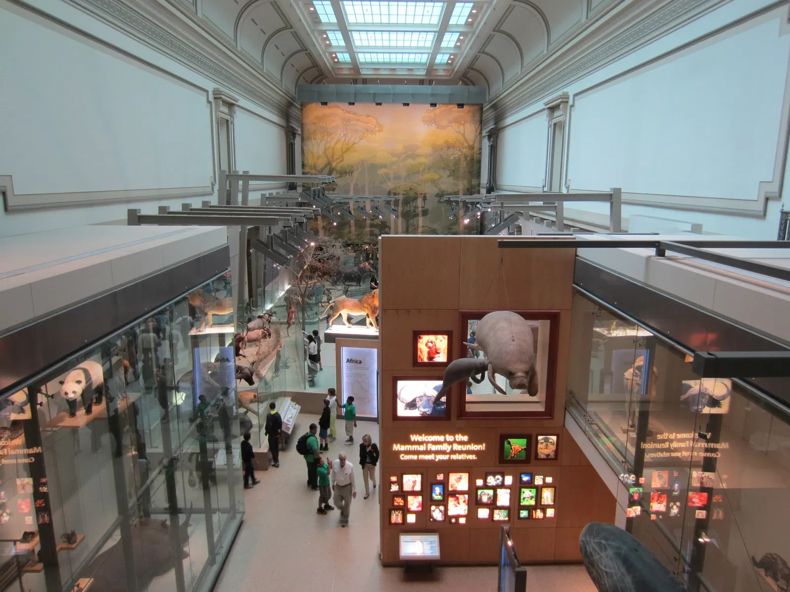 Museo Nacional de Historia Natural de los Estados Unidos