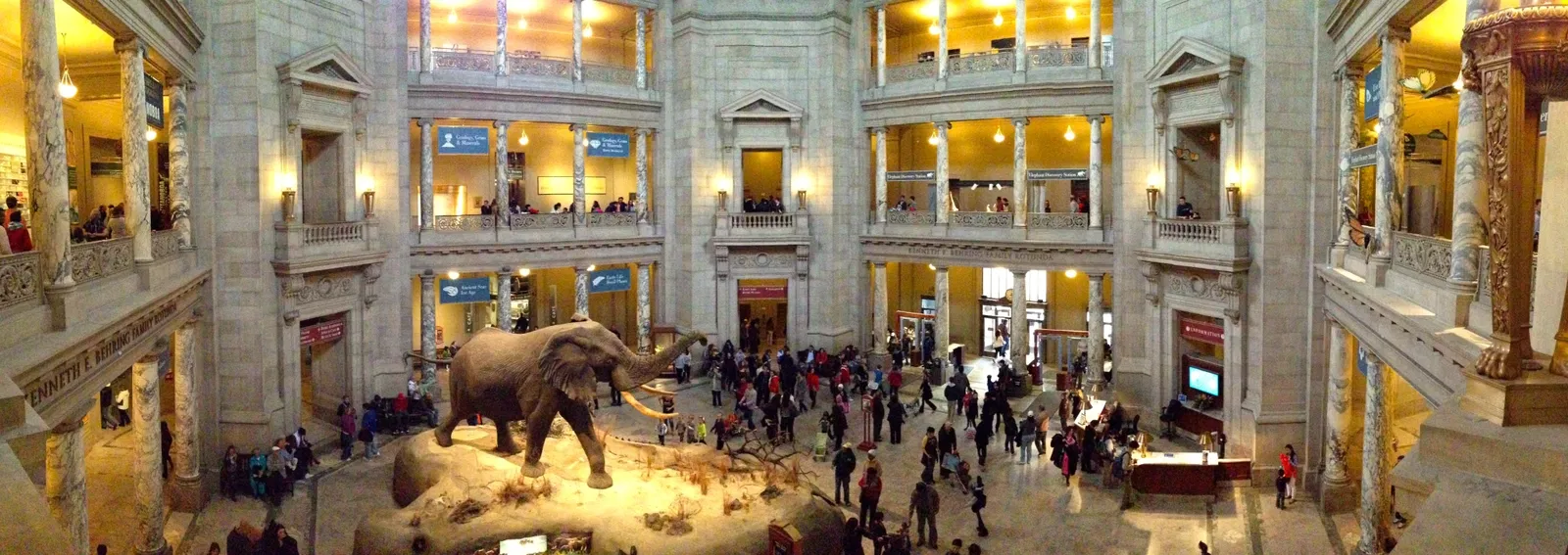 Musée national d'histoire naturelle des États-Unis