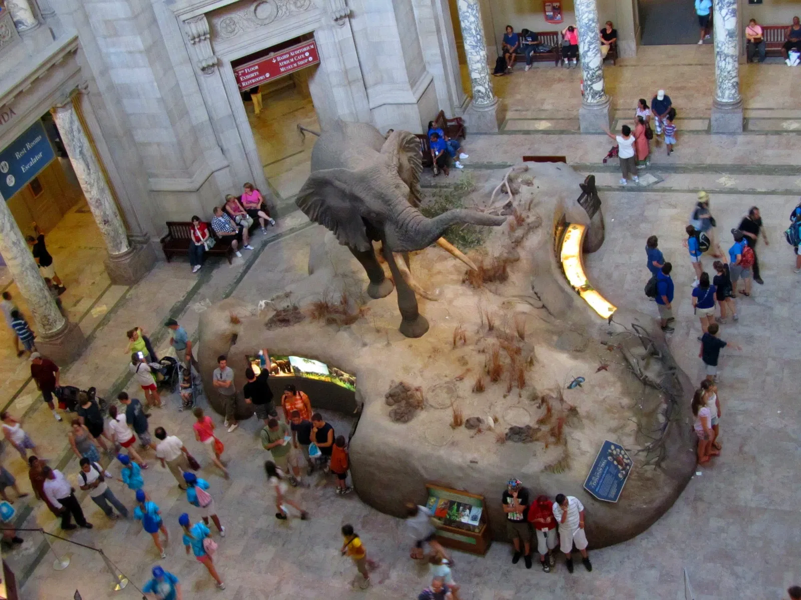 Musée national d'histoire naturelle des États-Unis