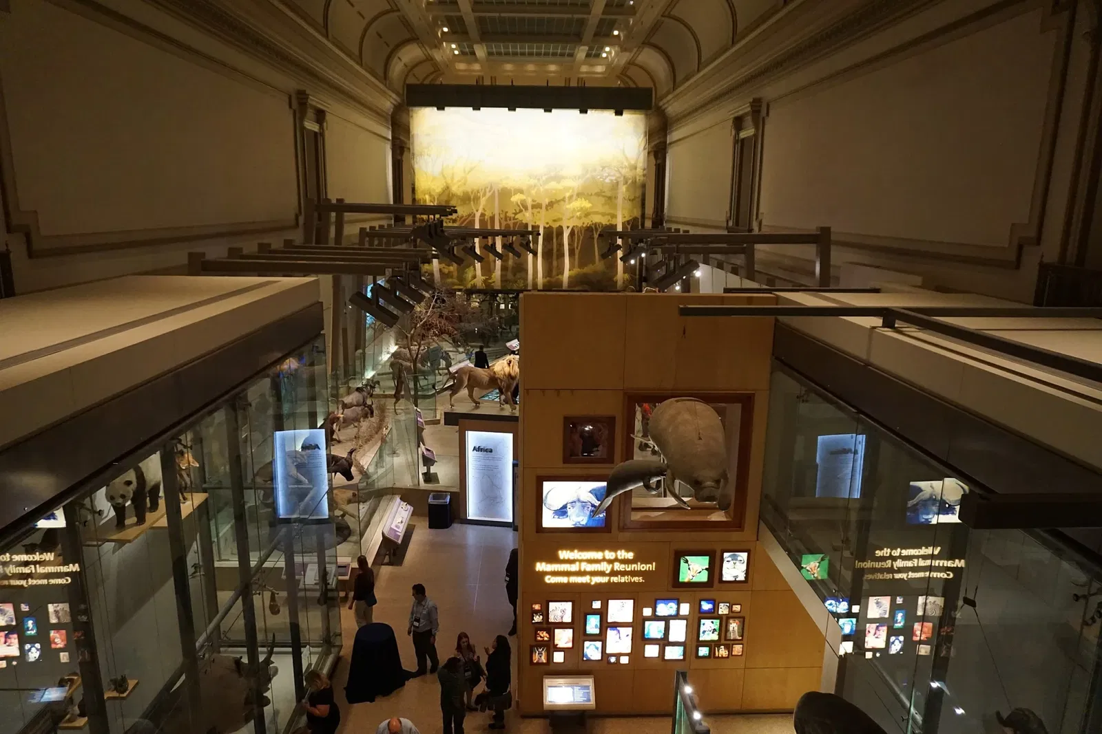 National Museum of Natural History