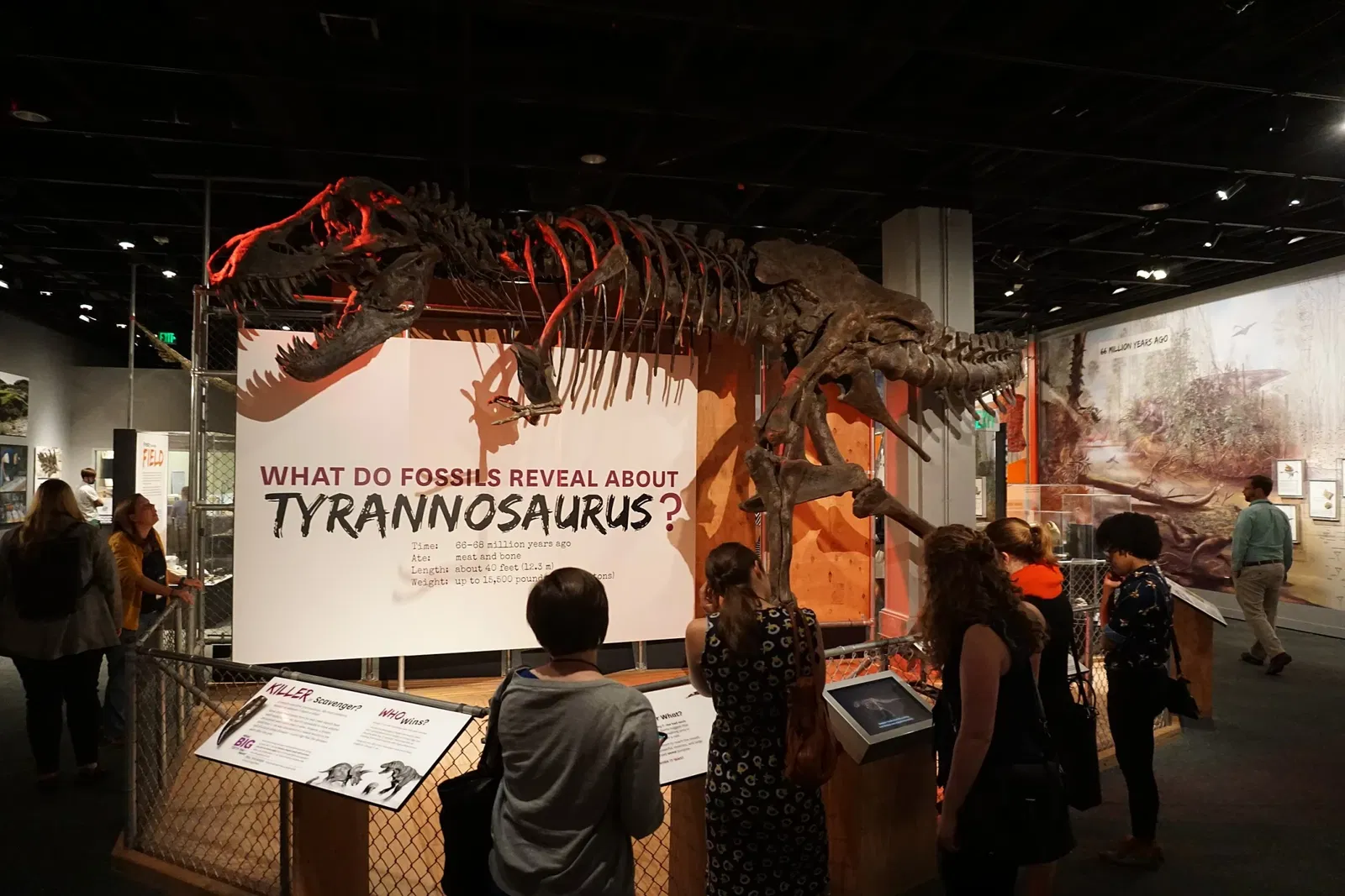 Museo Nacional de Historia Natural de los Estados Unidos