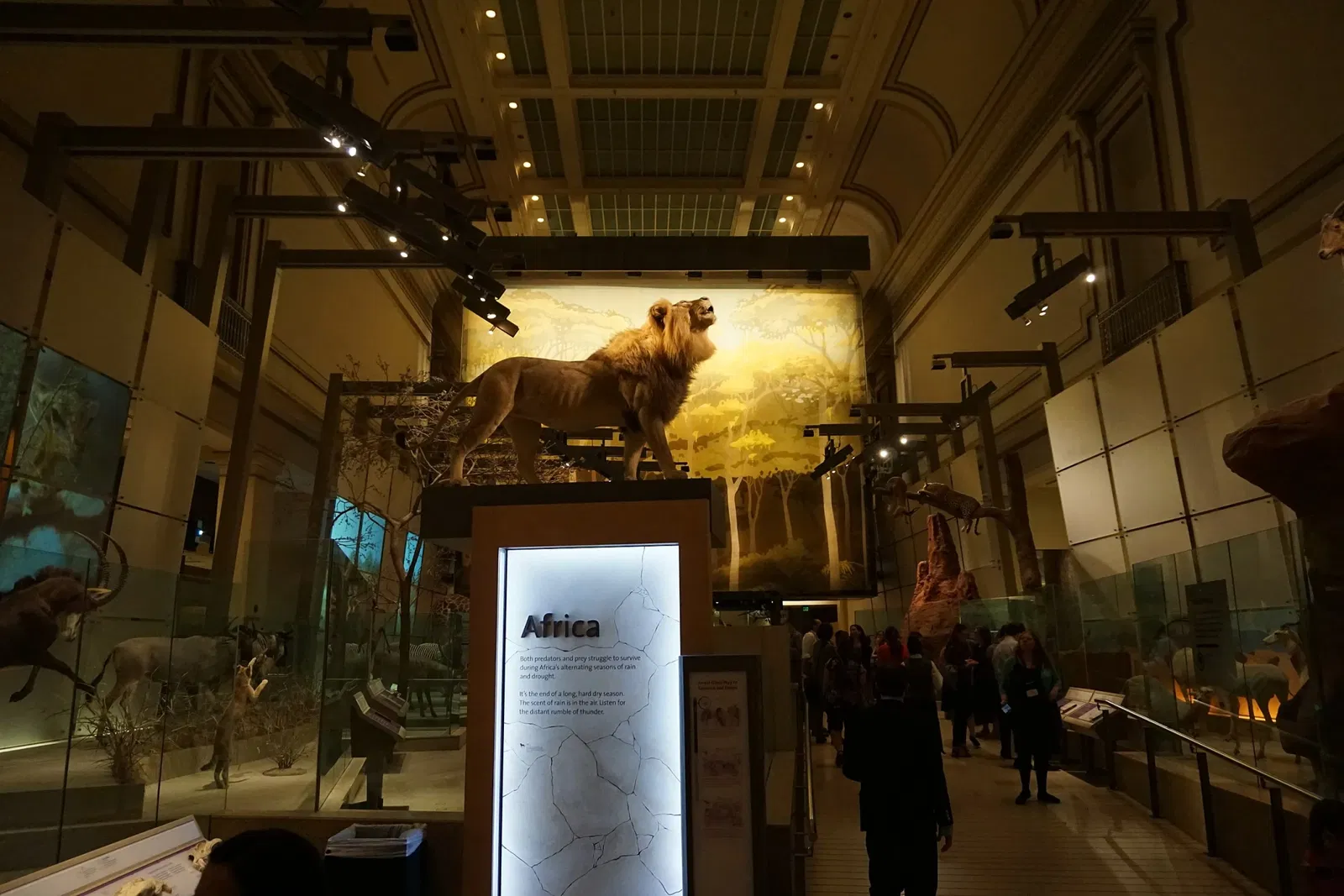National Museum of Natural History