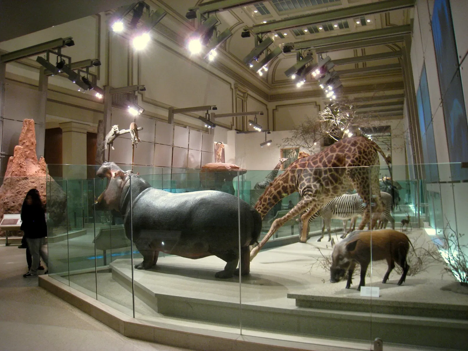 Museo Nacional de Historia Natural de los Estados Unidos