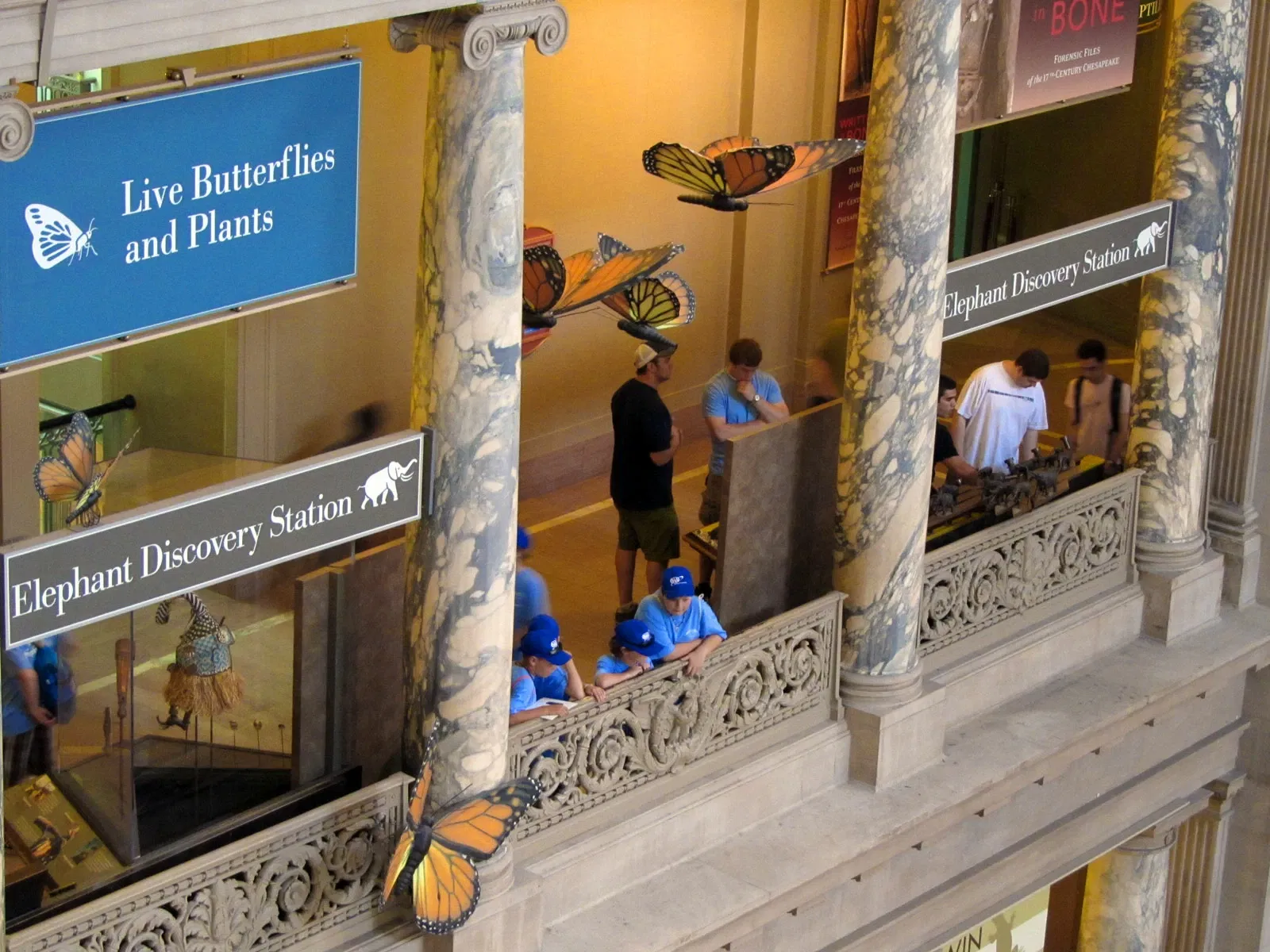 Museo Nacional de Historia Natural de los Estados Unidos