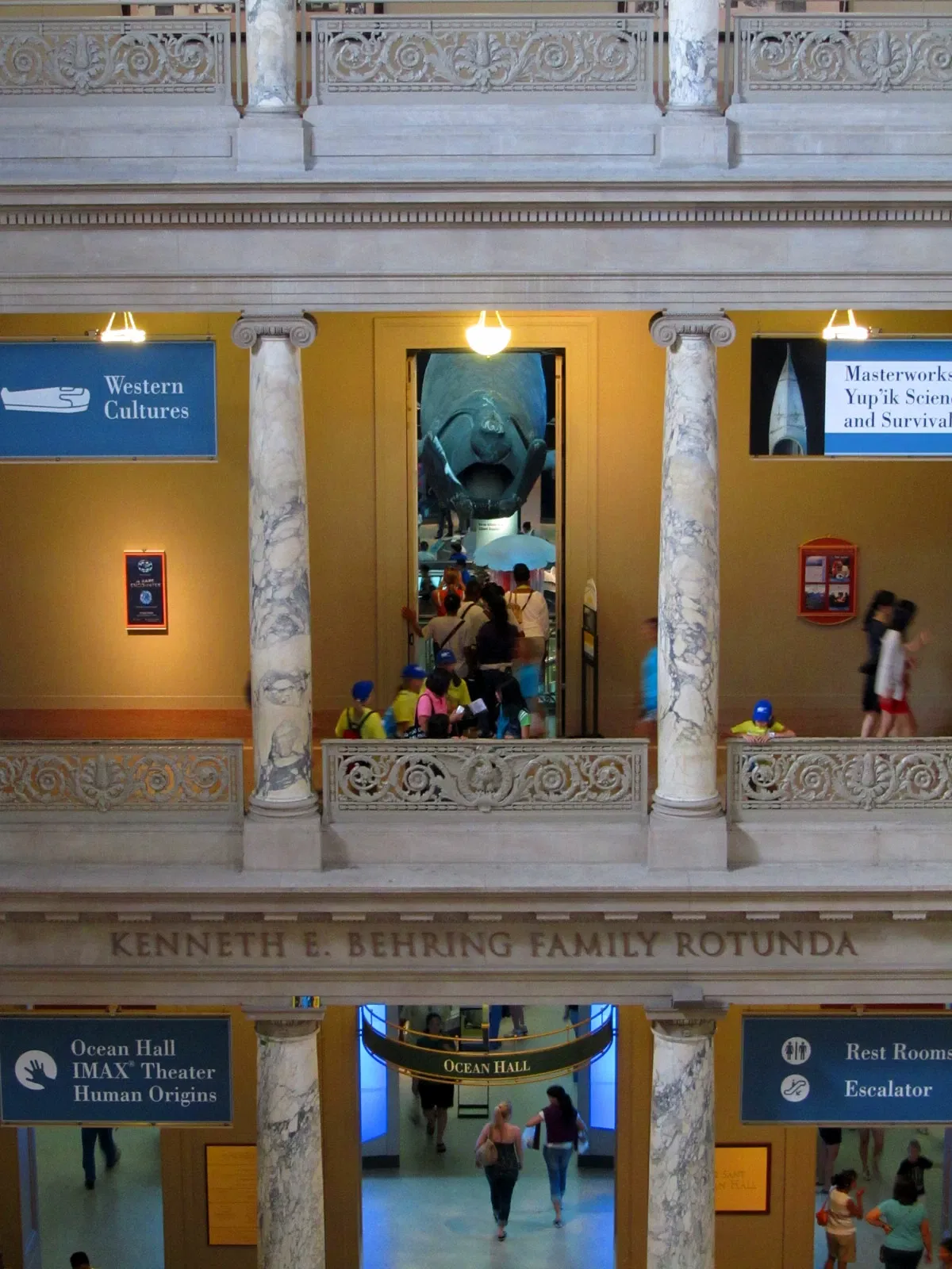 Musée national d'histoire naturelle des États-Unis