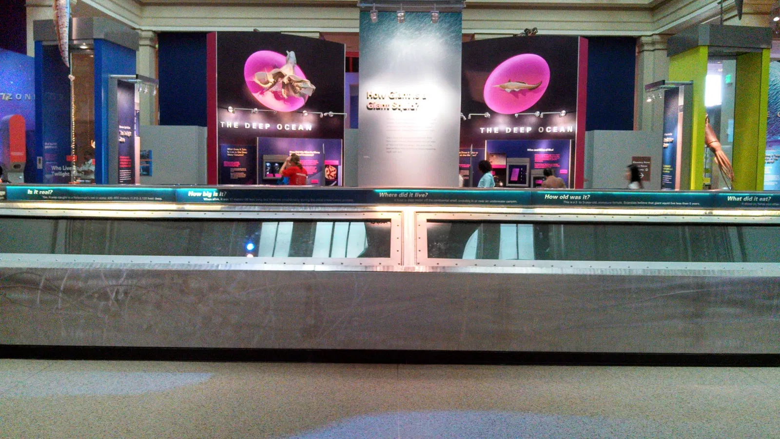 National Museum of Natural History