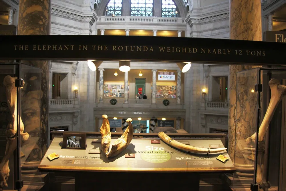 Museo Nacional de Historia Natural de los Estados Unidos