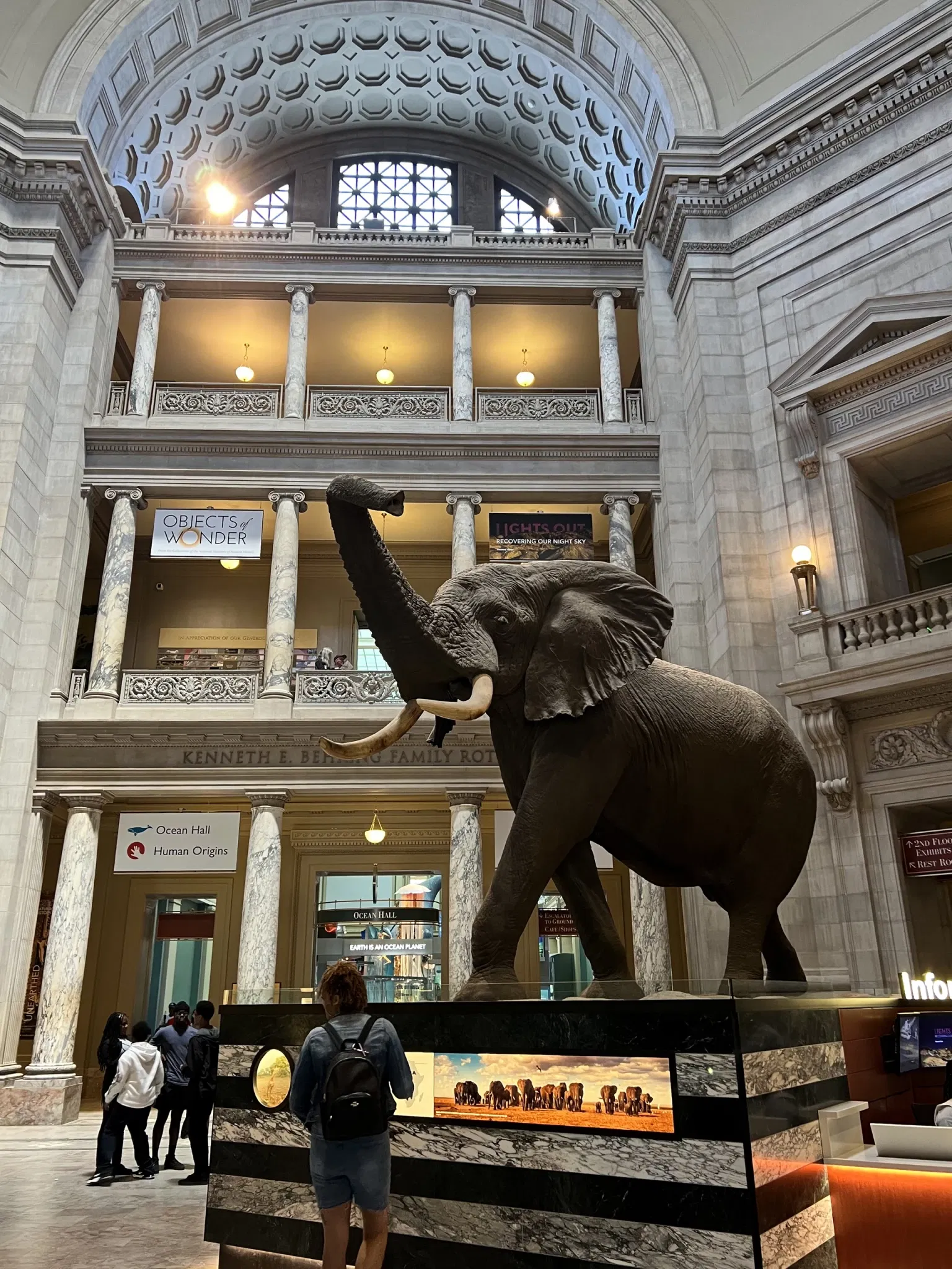 Museo Nacional de Historia Natural de los Estados Unidos