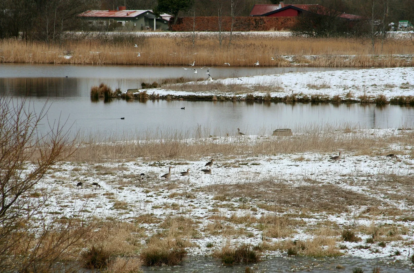 Strødam Naturreservat