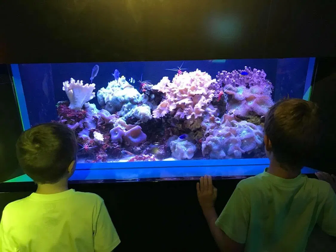 Acuario de la Florida