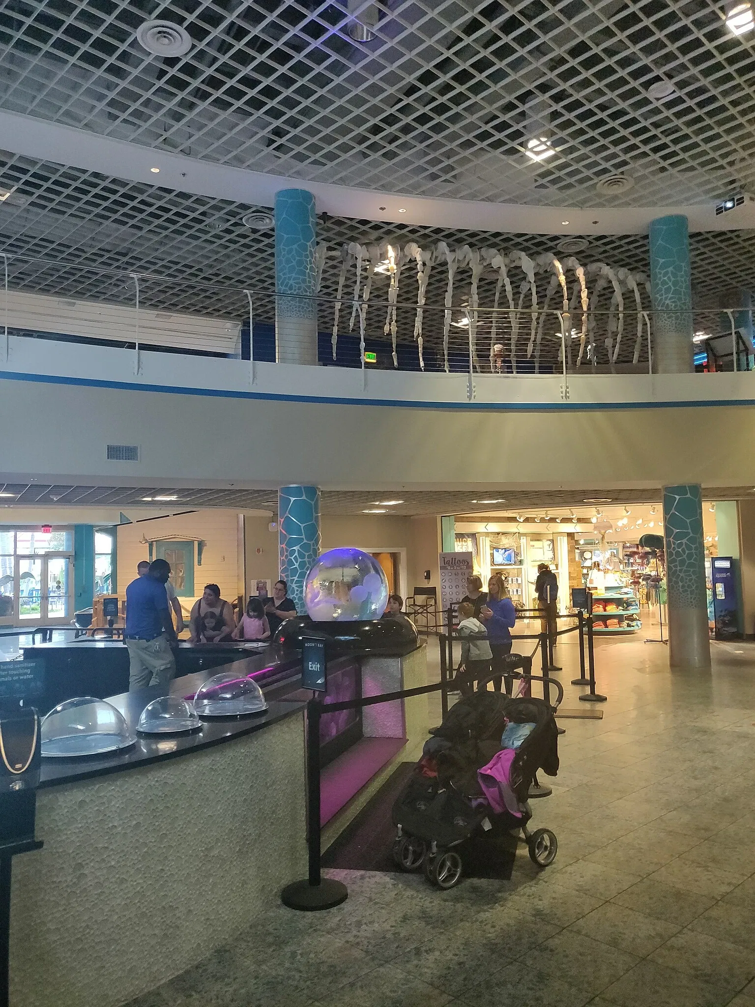 Florida Aquarium