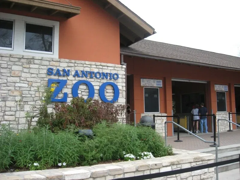 Zoo et Aquarium de San Antonio
