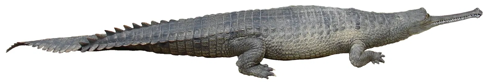 Zoológico de San Antonio