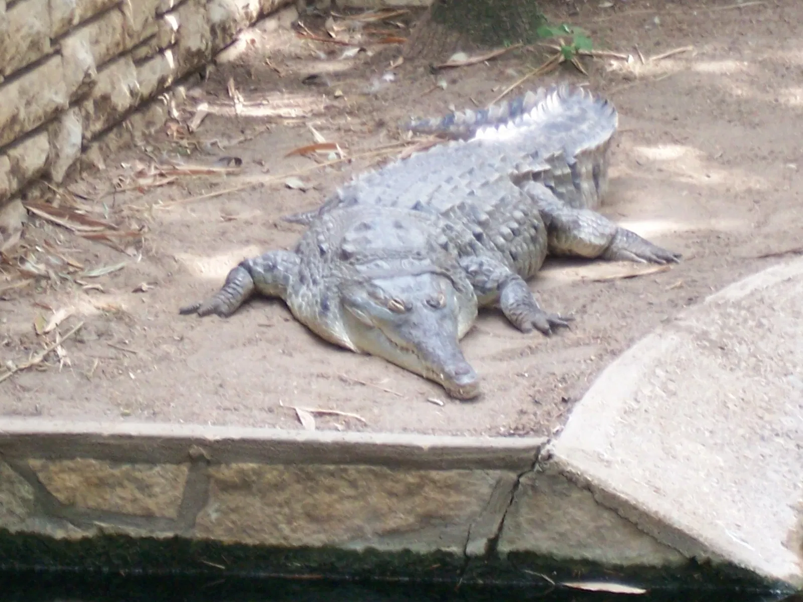 San Antonio Zoo