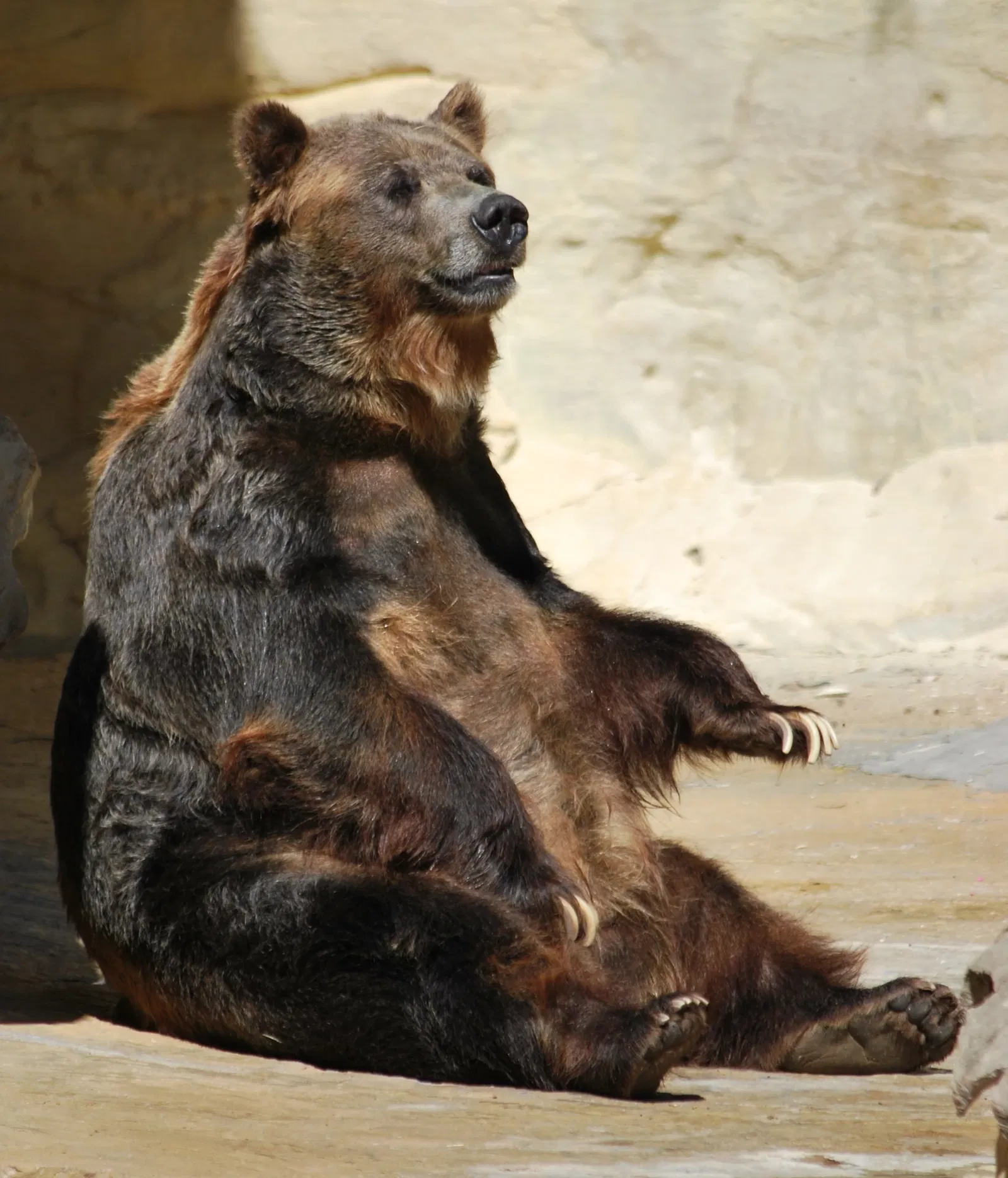 Zoológico de San Antonio