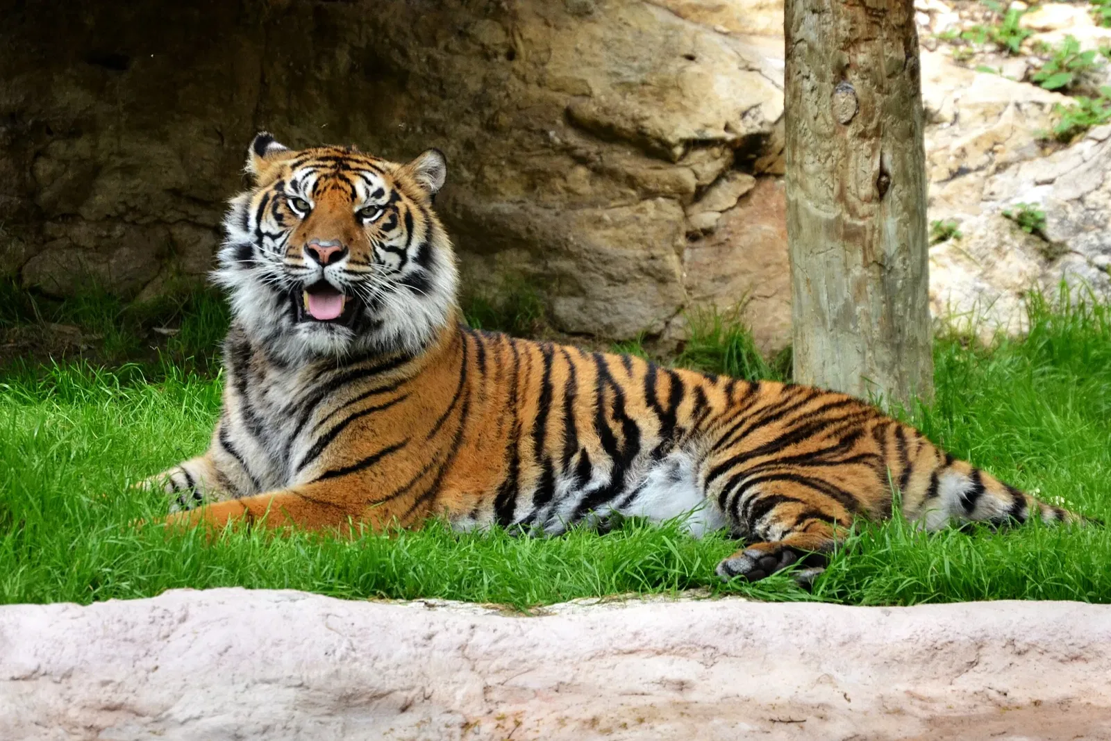 Zoológico de San Antonio