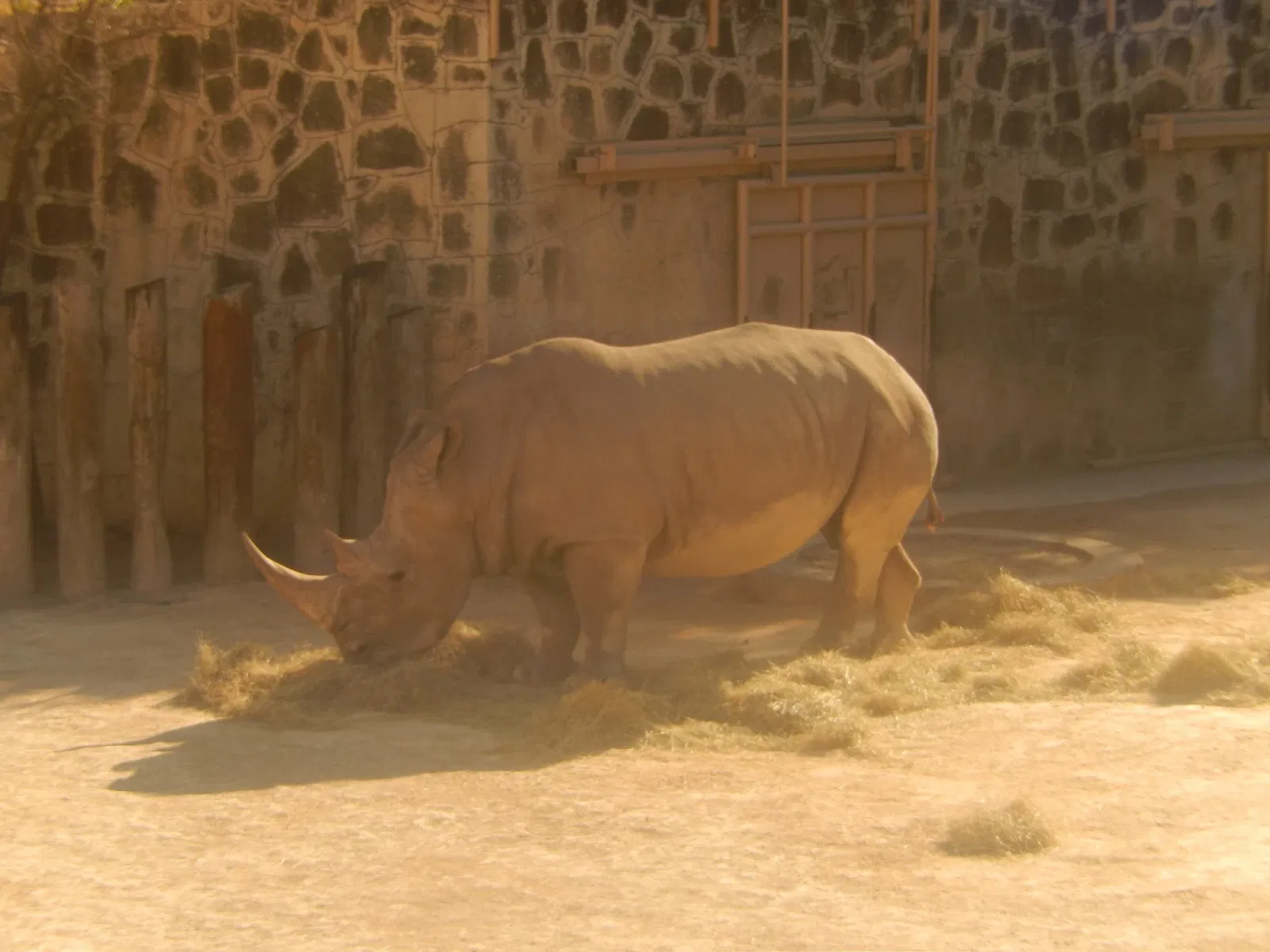 Zoológico de San Antonio