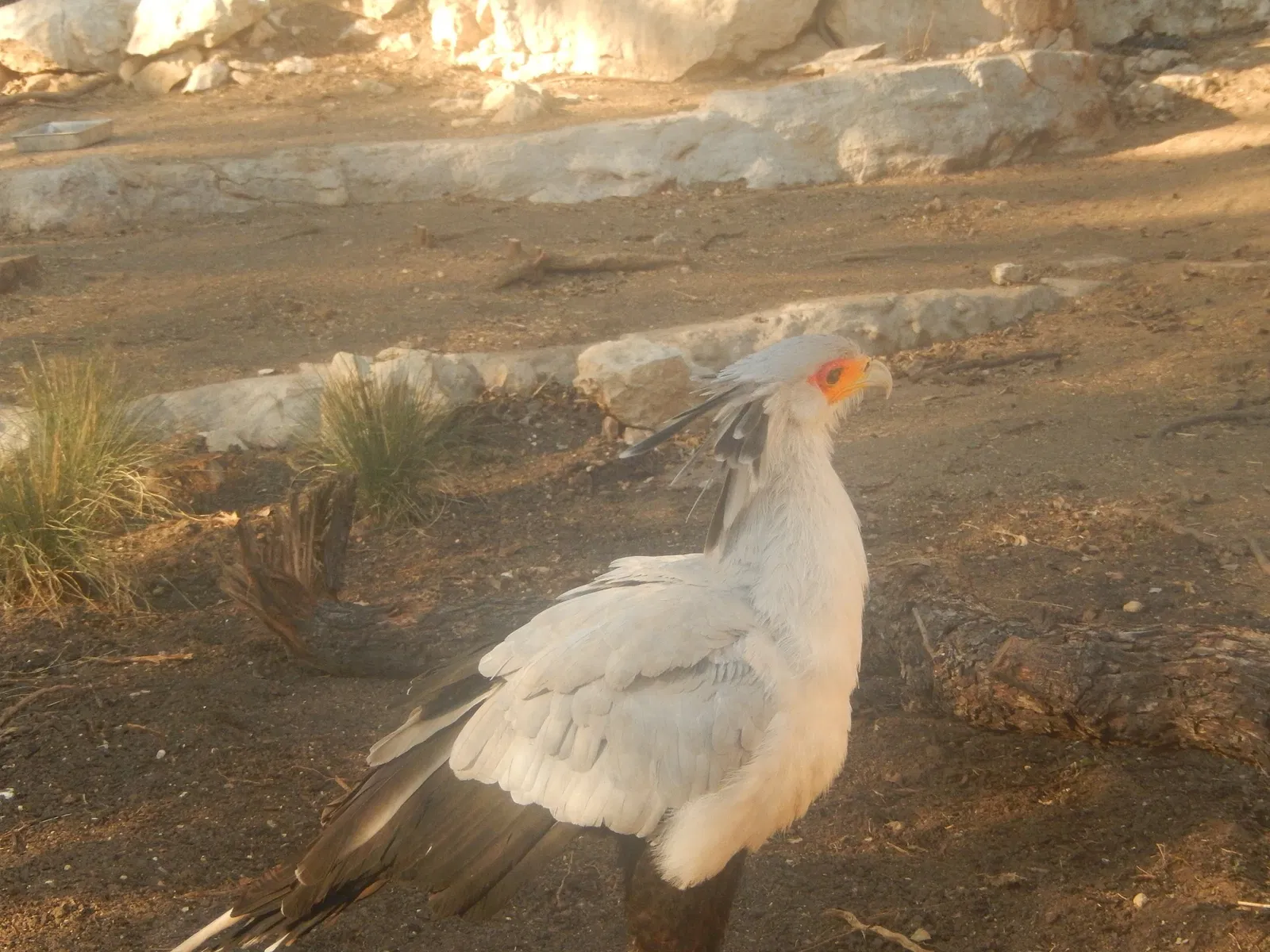Zoo et Aquarium de San Antonio