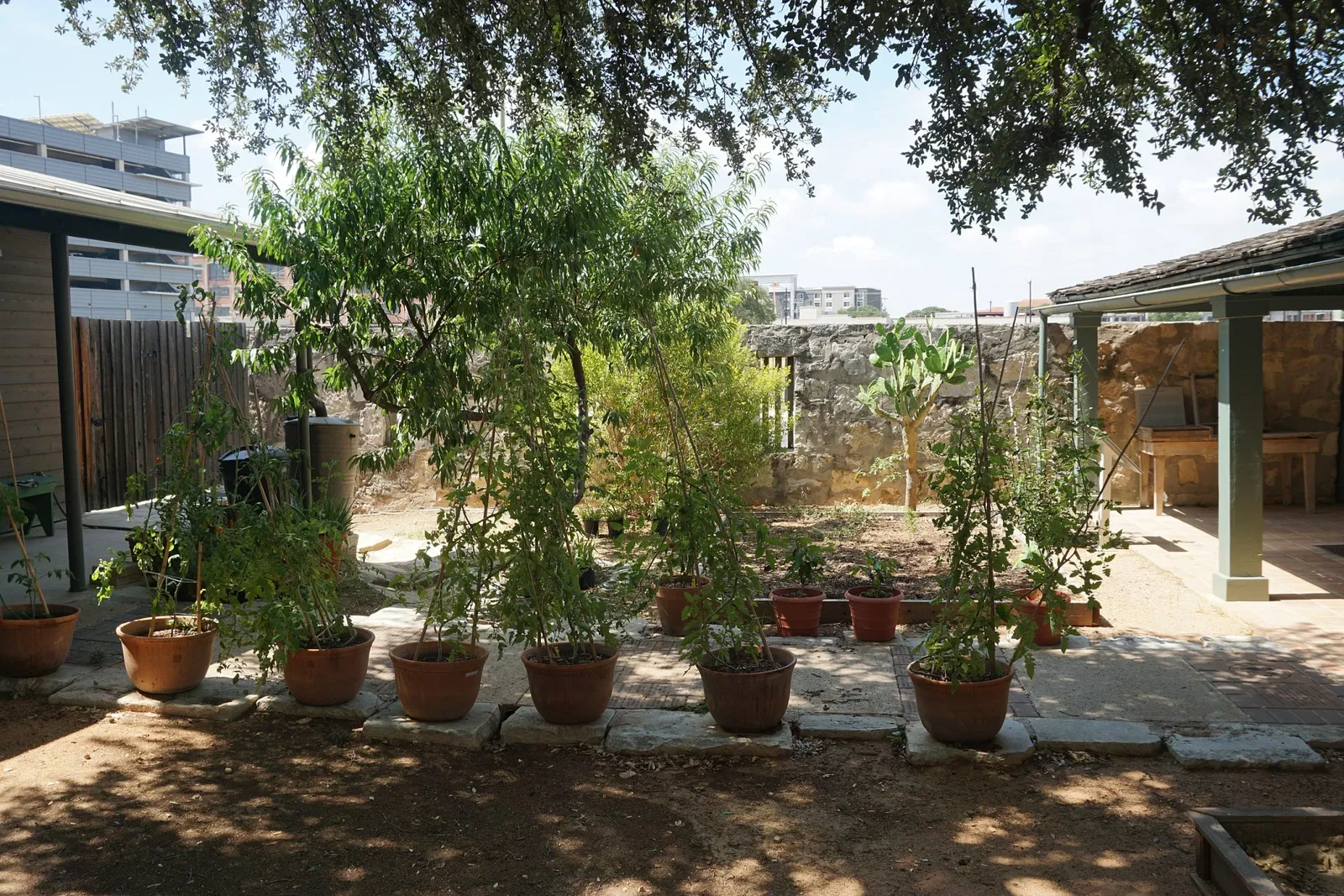 Casa Navarro State Historical Site