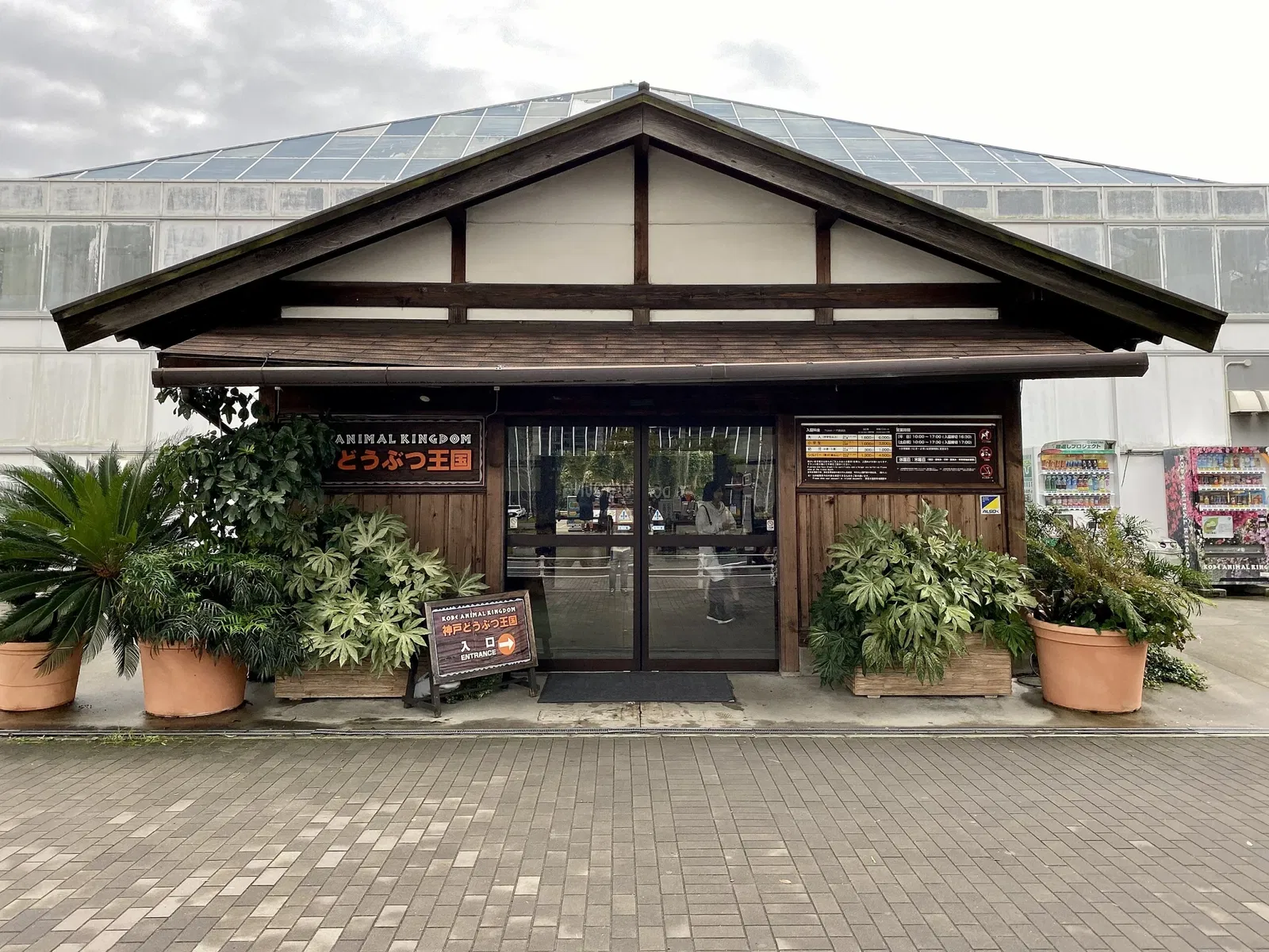 kobe animal kingdom