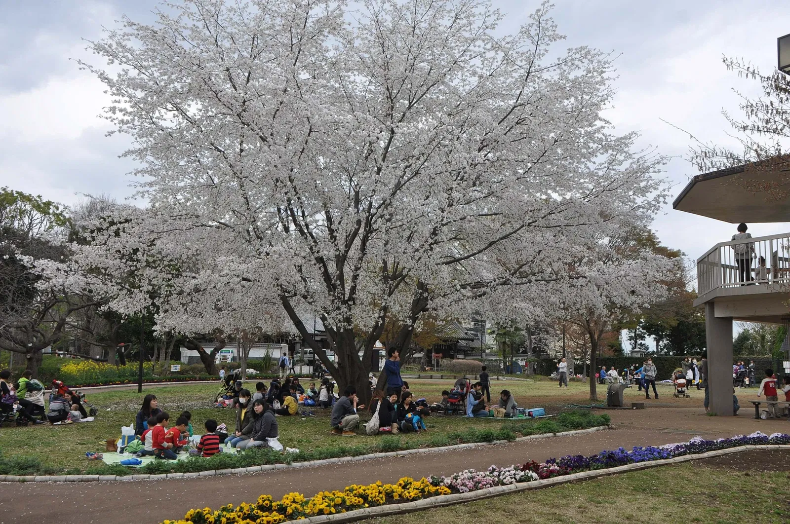 Yumemigasaki Zoological Park