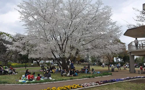 Yumemigasaki Zoological Park