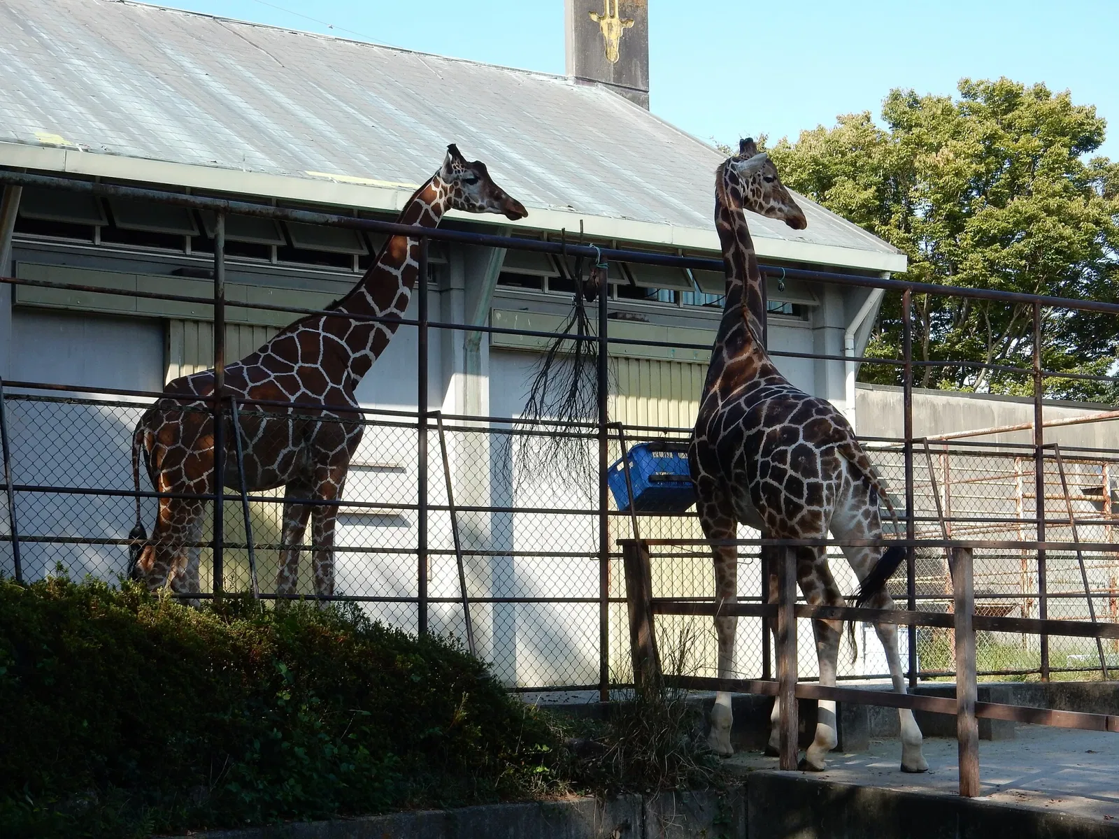 Hamamatsu Zoological Gardens
