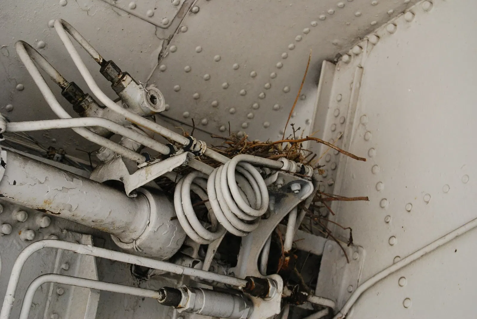 Oakland Aviation Museum