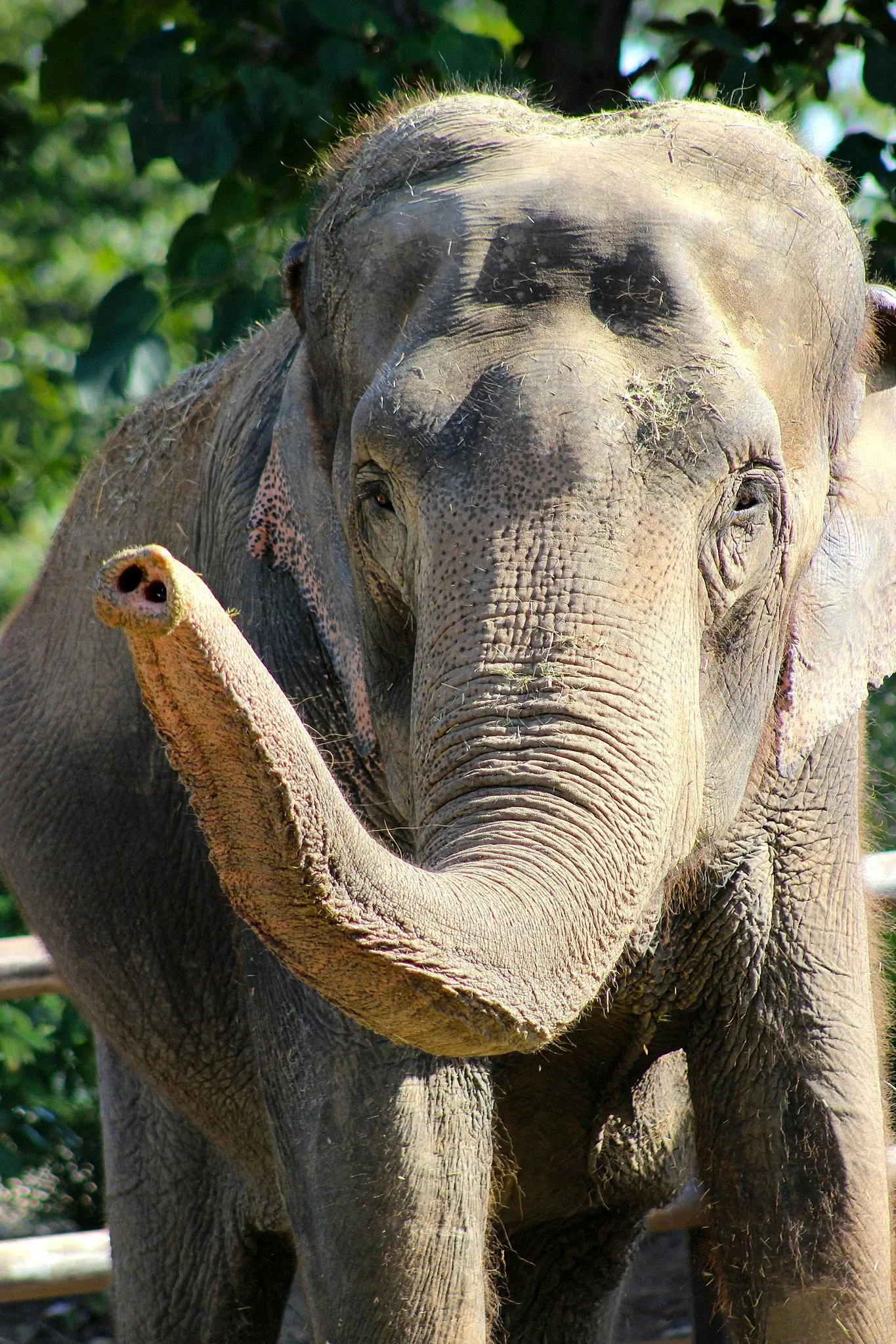 Tulsa Zoo