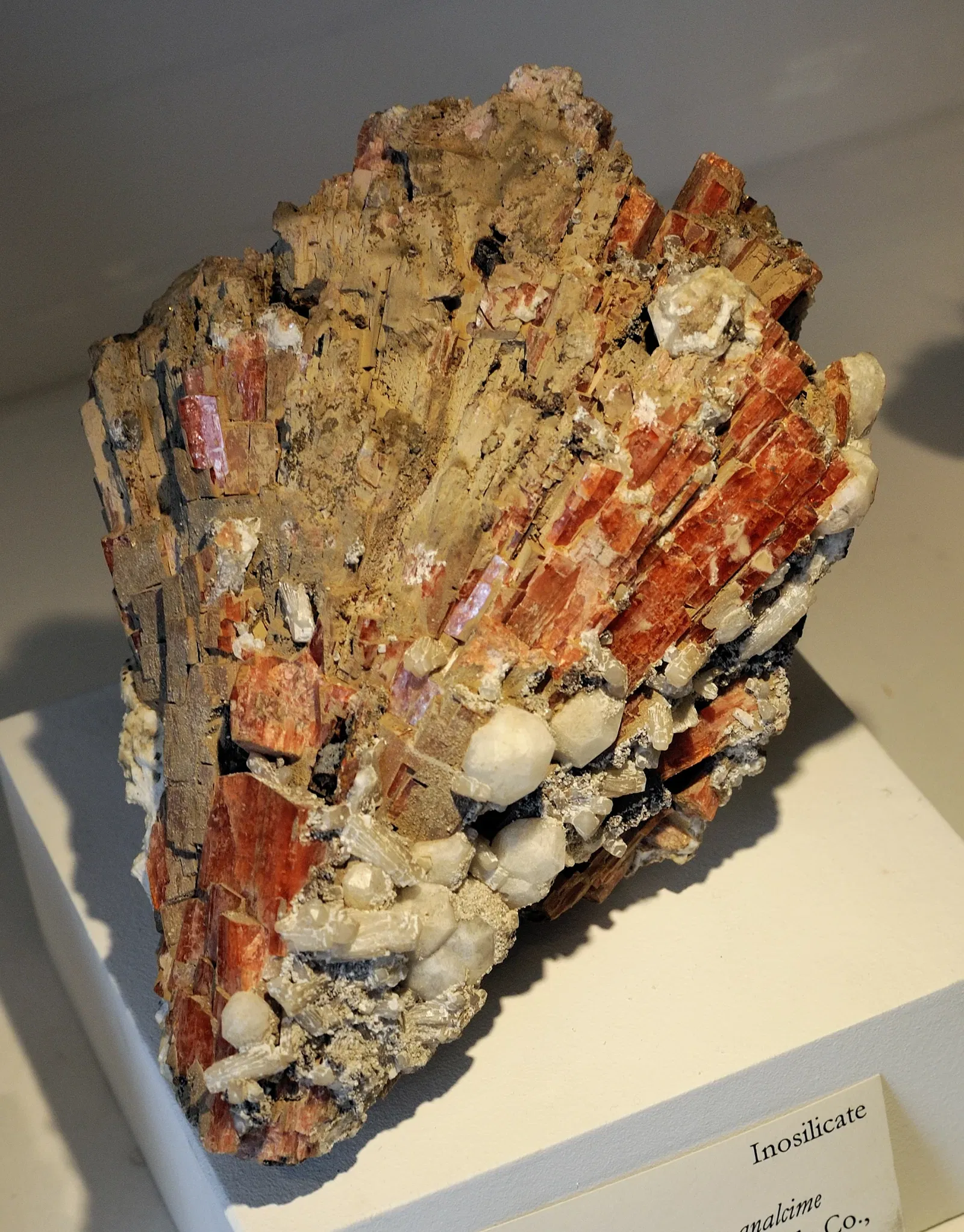 Museo de Historia Natural de Harvard