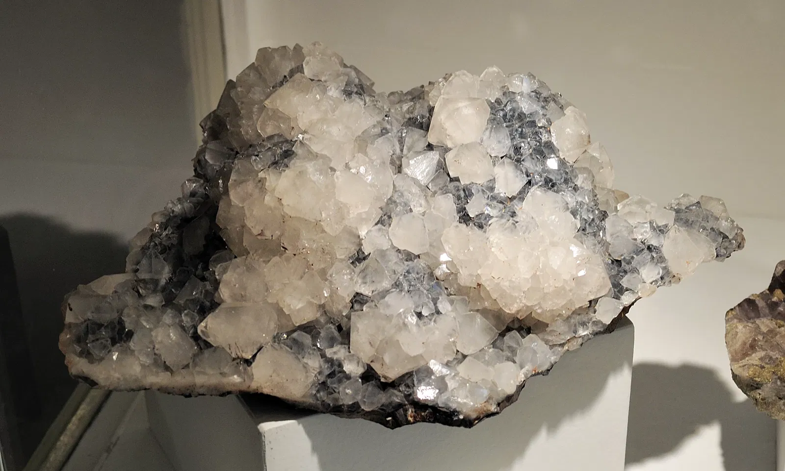 Museo de Historia Natural de Harvard