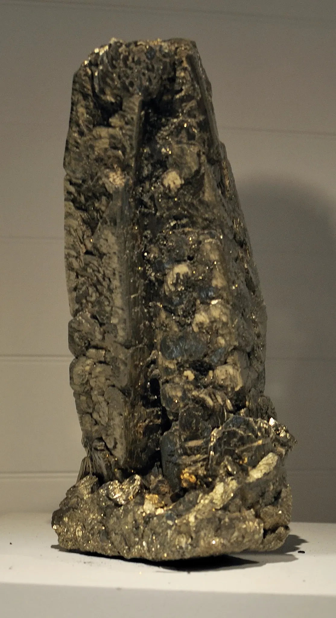 Harvard Museum of Natural History