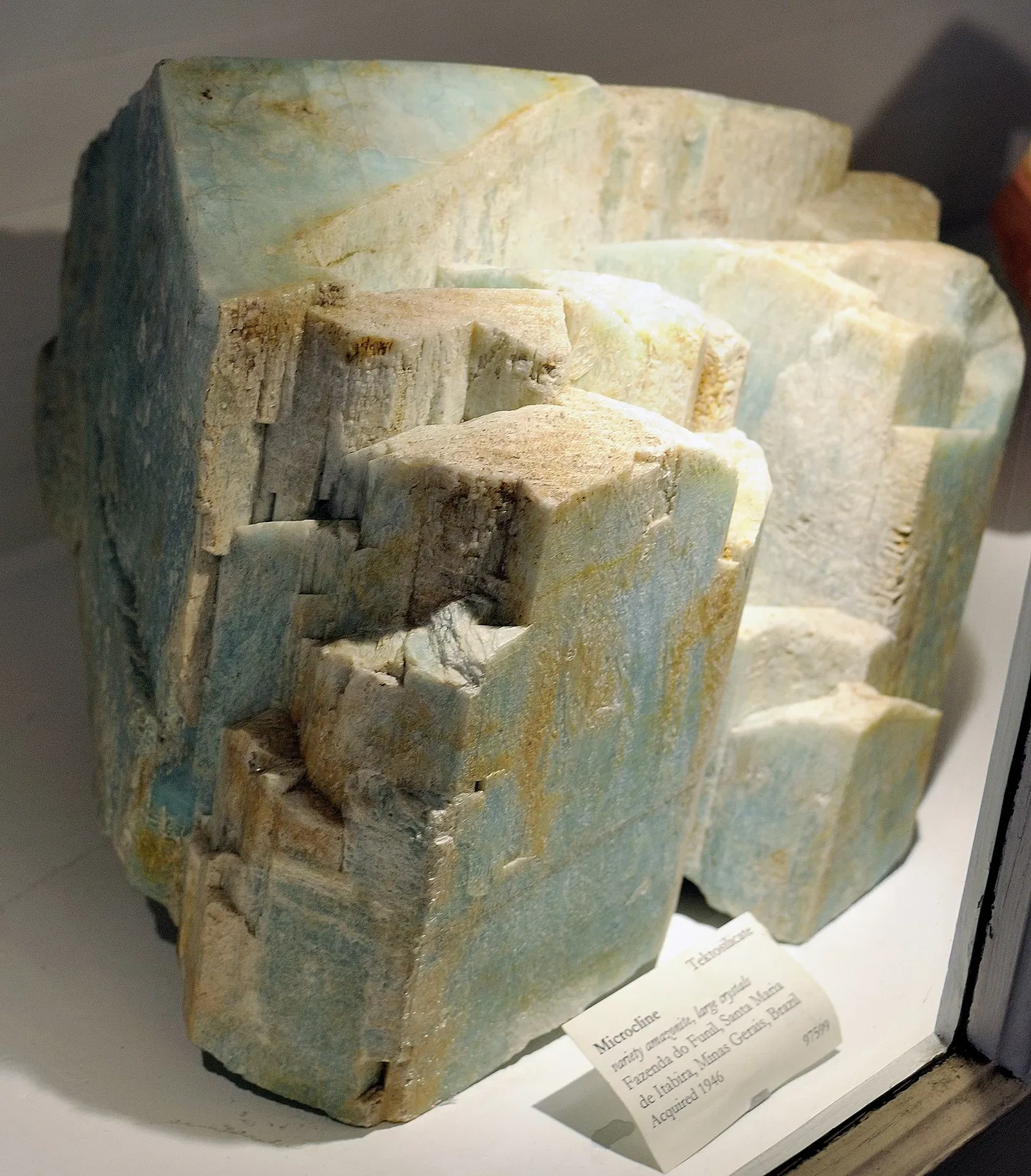 Museo de Historia Natural de Harvard