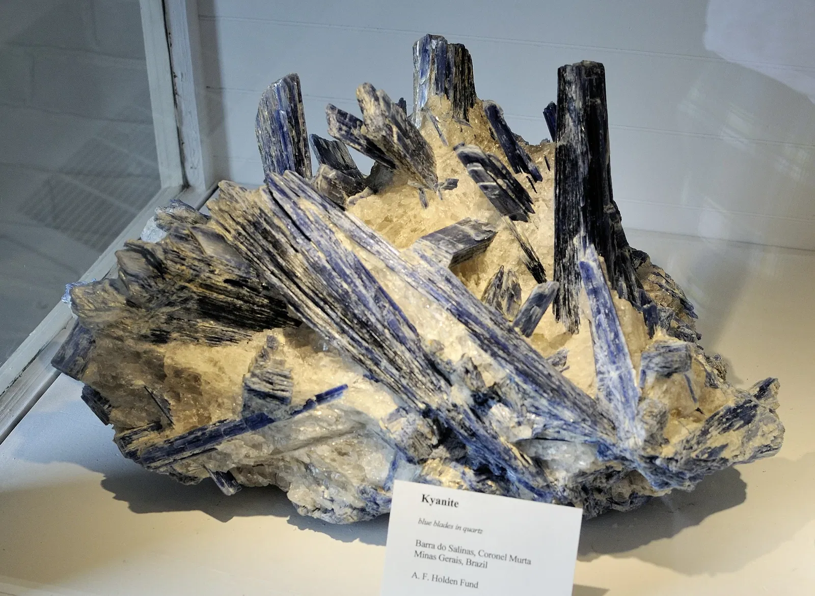 Museo de Historia Natural de Harvard