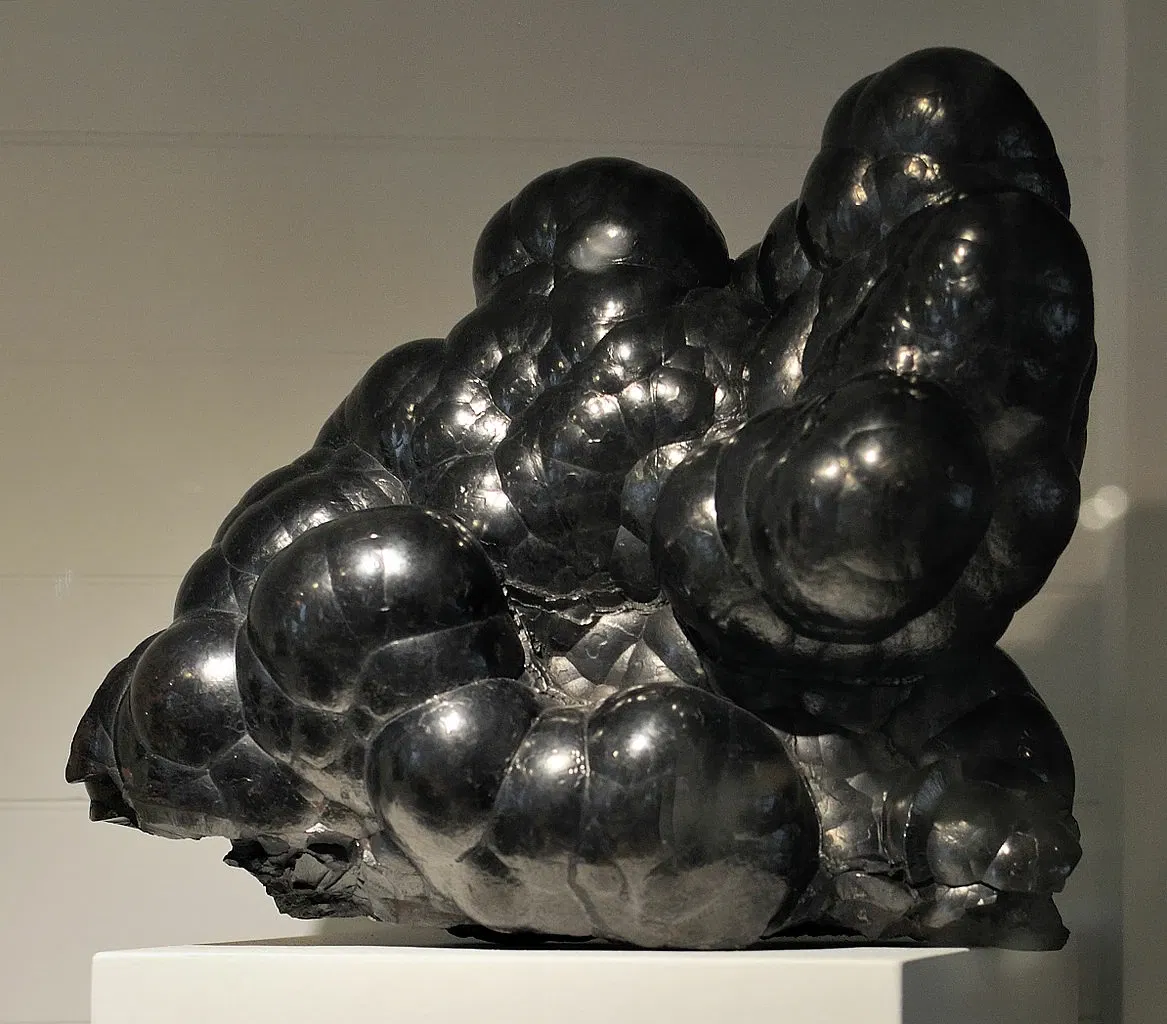 Harvard Museum of Natural History