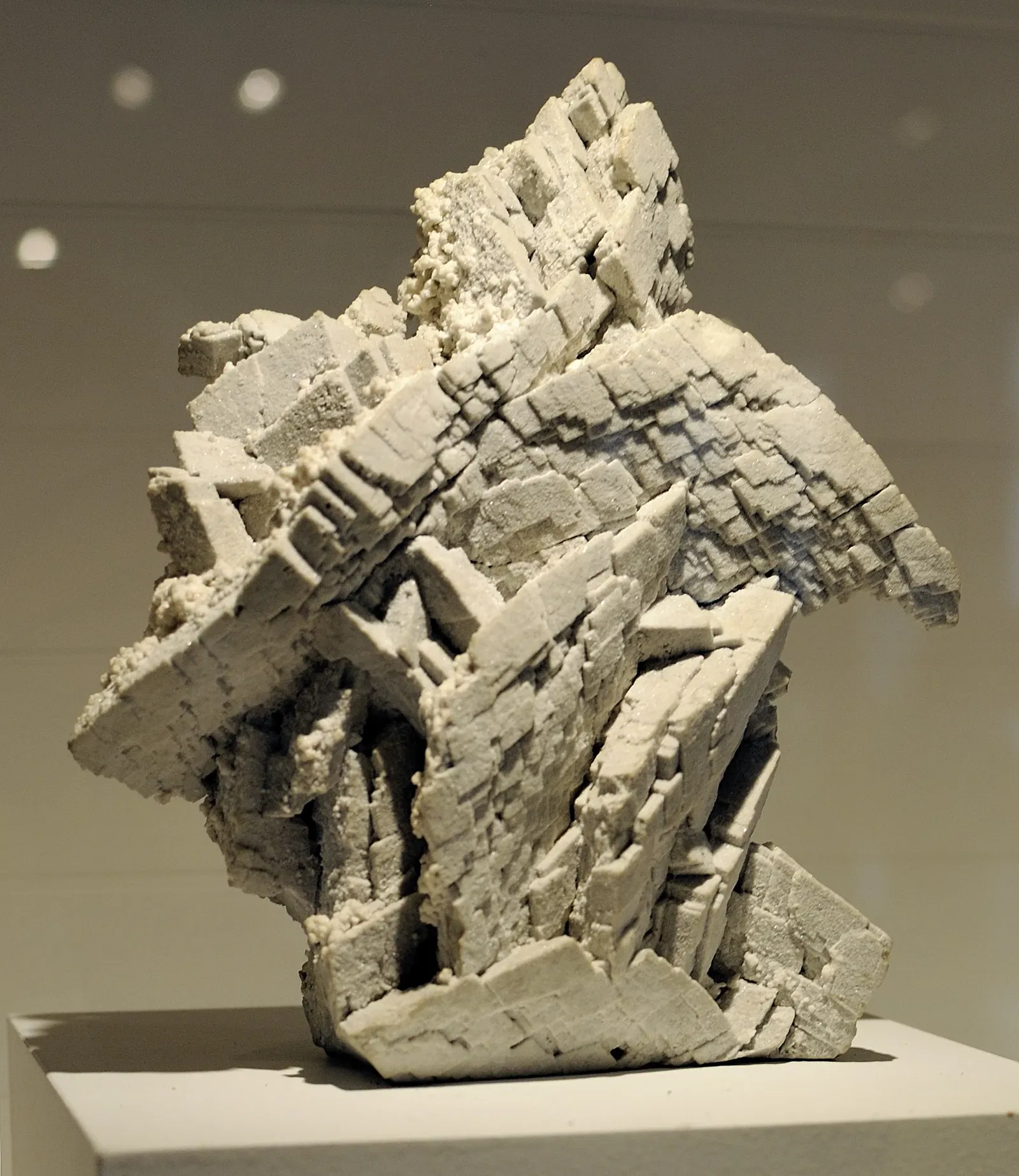 Harvard Museum of Natural History