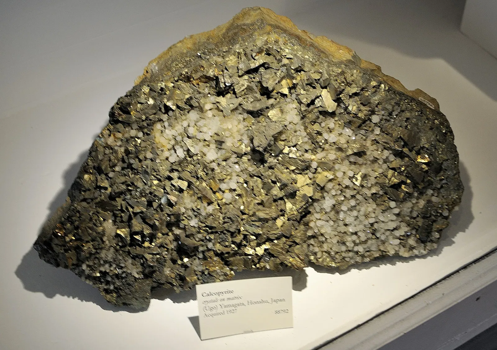 Museo de Historia Natural de Harvard