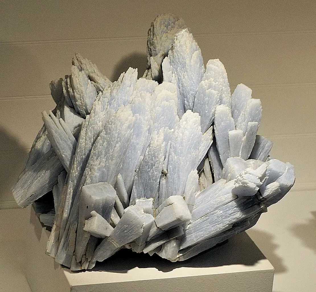 Museo de Historia Natural de Harvard