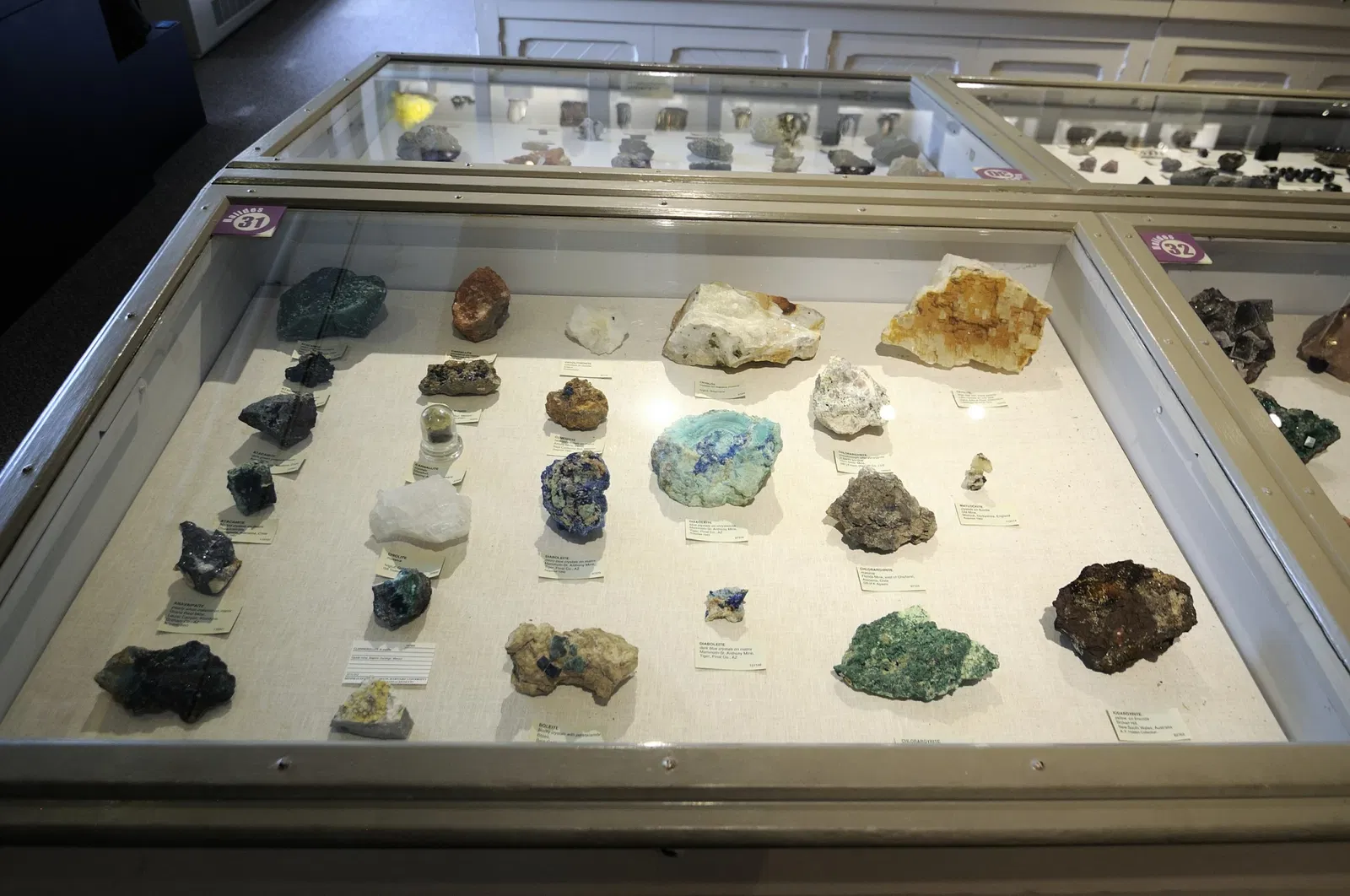 Museo de Historia Natural de Harvard